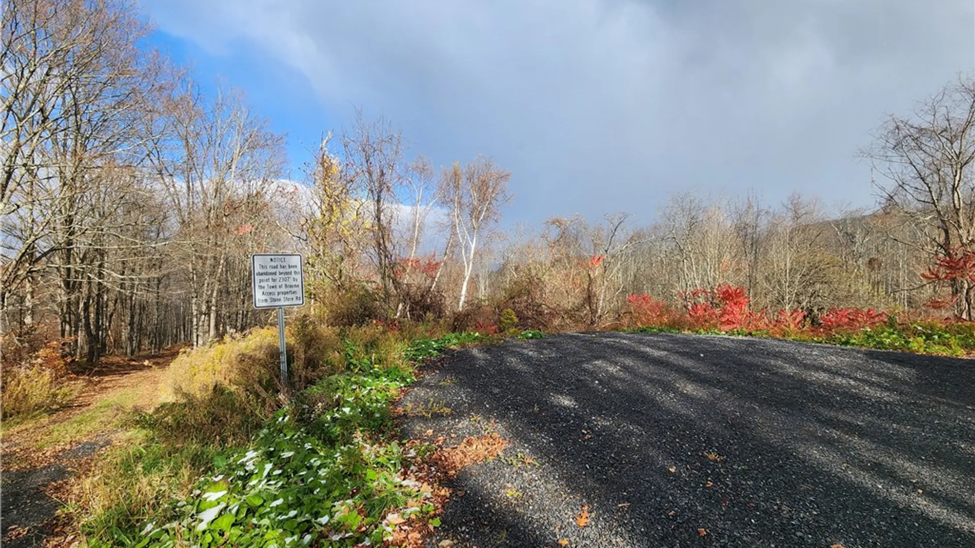 Property at 172 Mace Hill Road, Broome, NY 12122 11