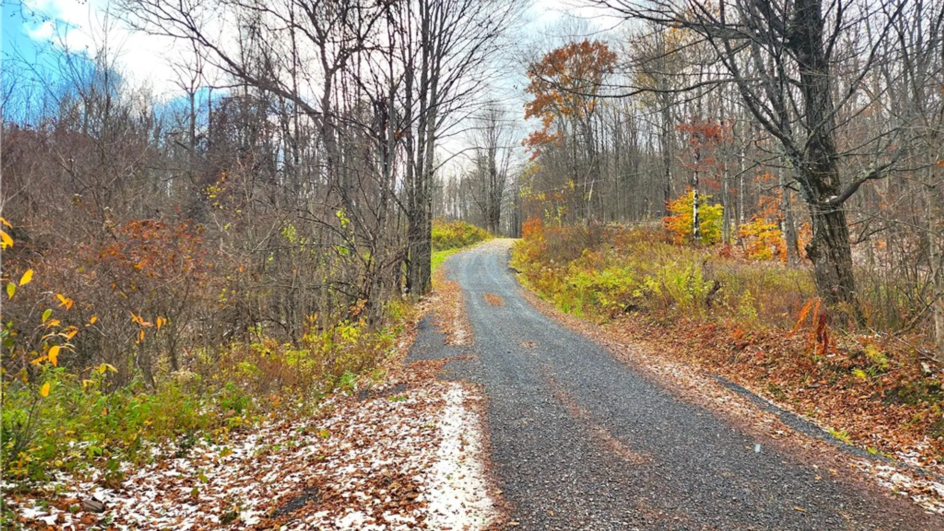 Property at 172 Mace Hill Road, Broome, NY 12122 12