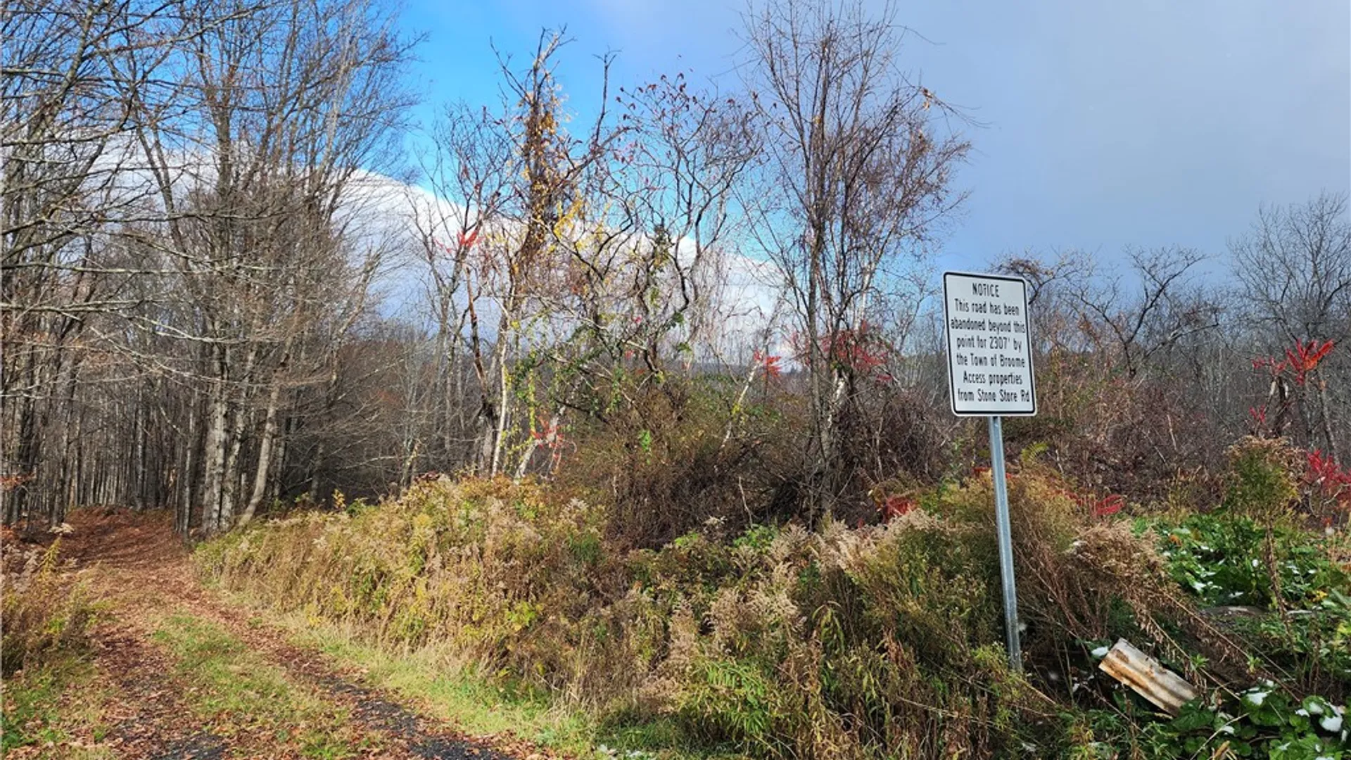 Property at 172 Mace Hill Road, Broome, NY 12122 13