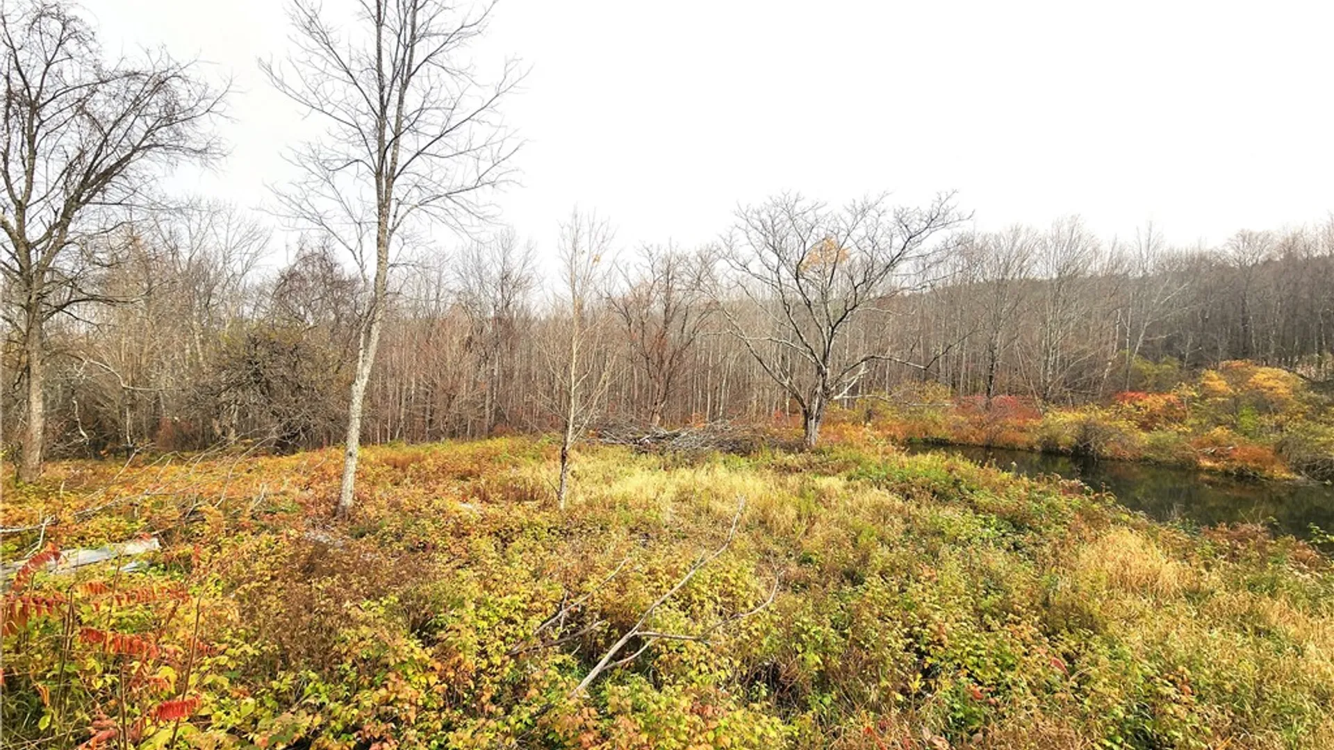 Property at 172 Mace Hill Road, Broome, NY 12122 5