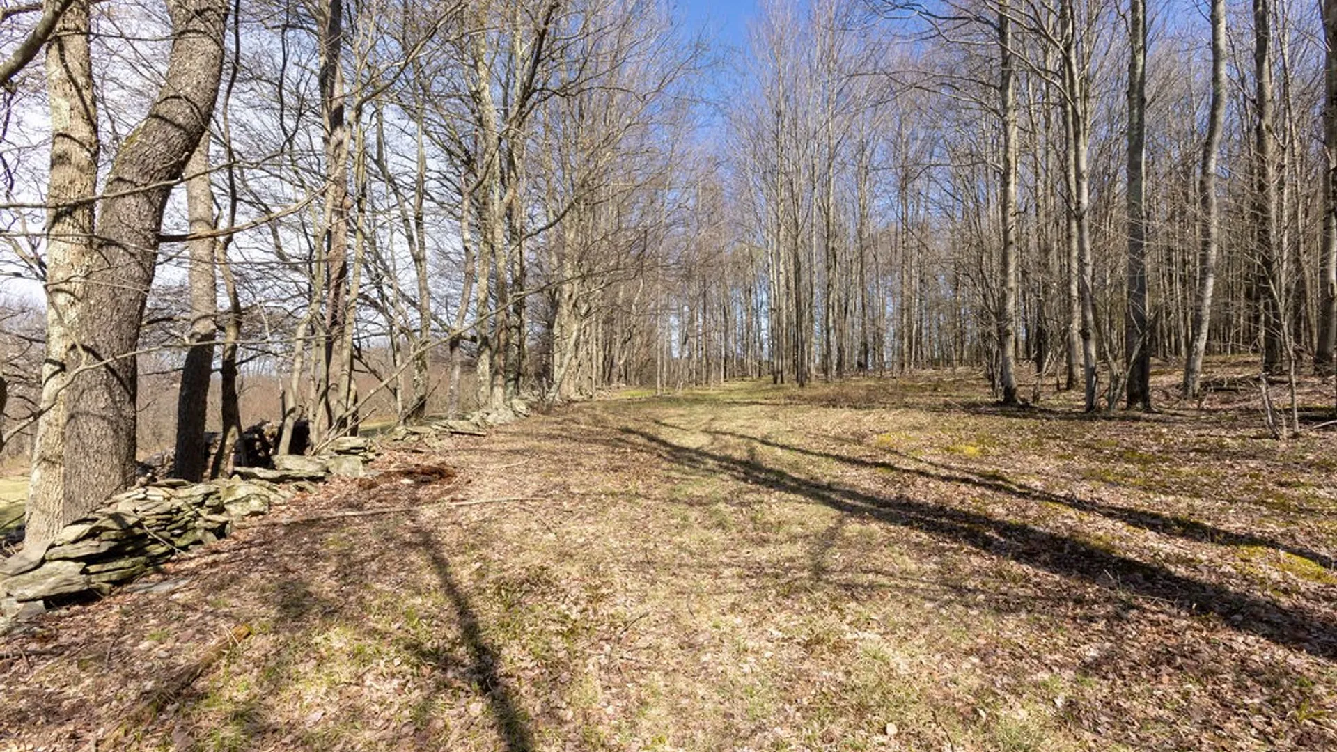 Property at 686 Campbell Estates Road, Franklin, NY 13775 40