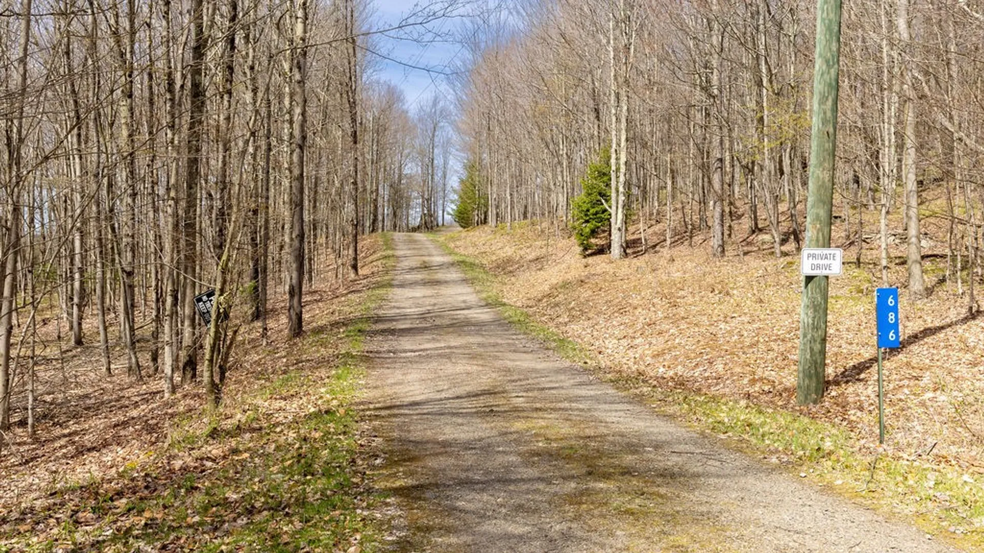 Property at 686 Campbell Estates Road, Franklin, NY 13775 41