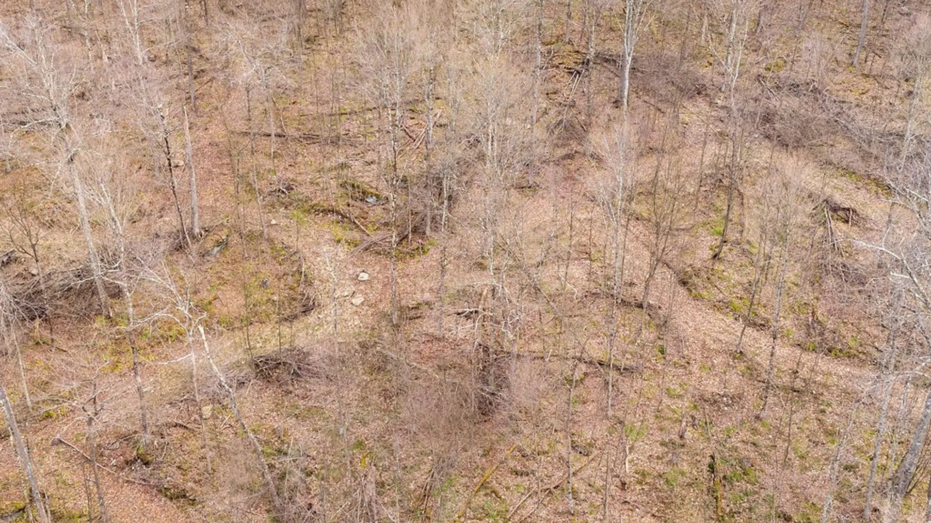 Property at 280 Lewis Road, Tompkins, NY 13856 41