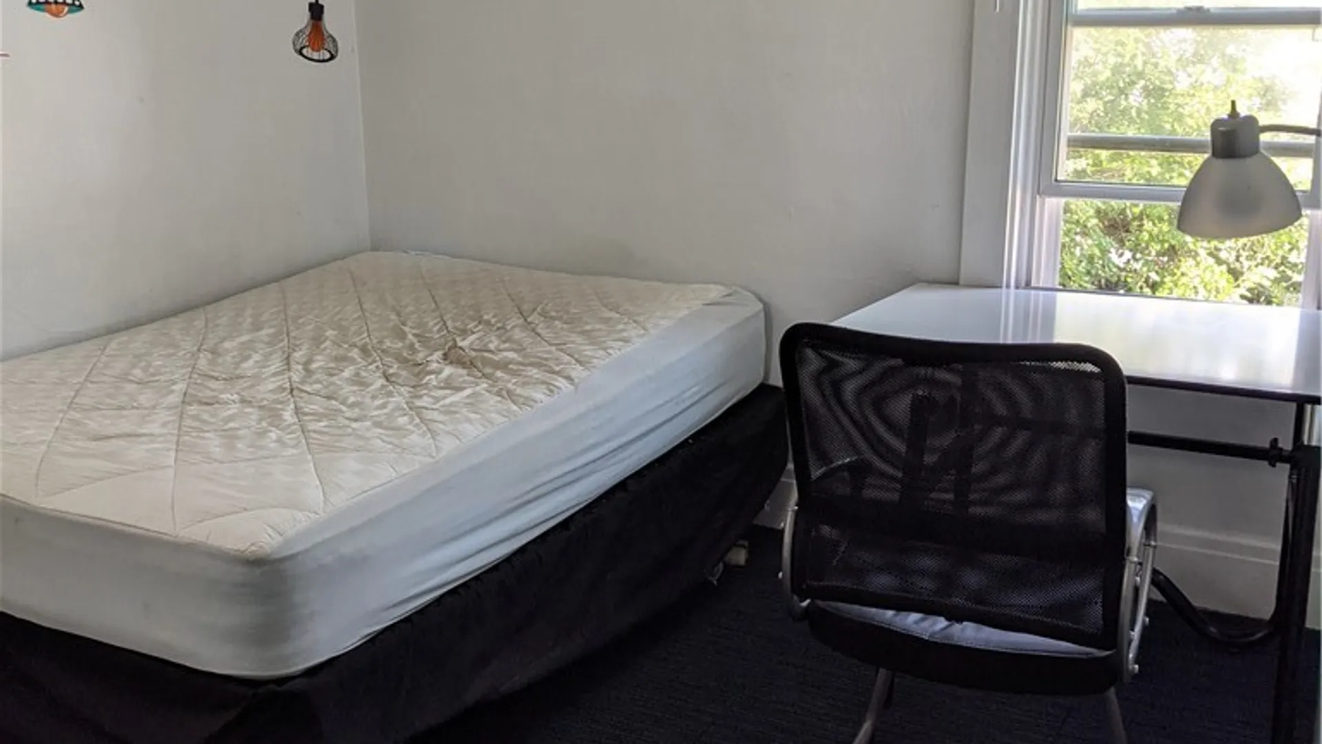 Property at 4038 Bailey Avenue, Amherst, NY 14226 16