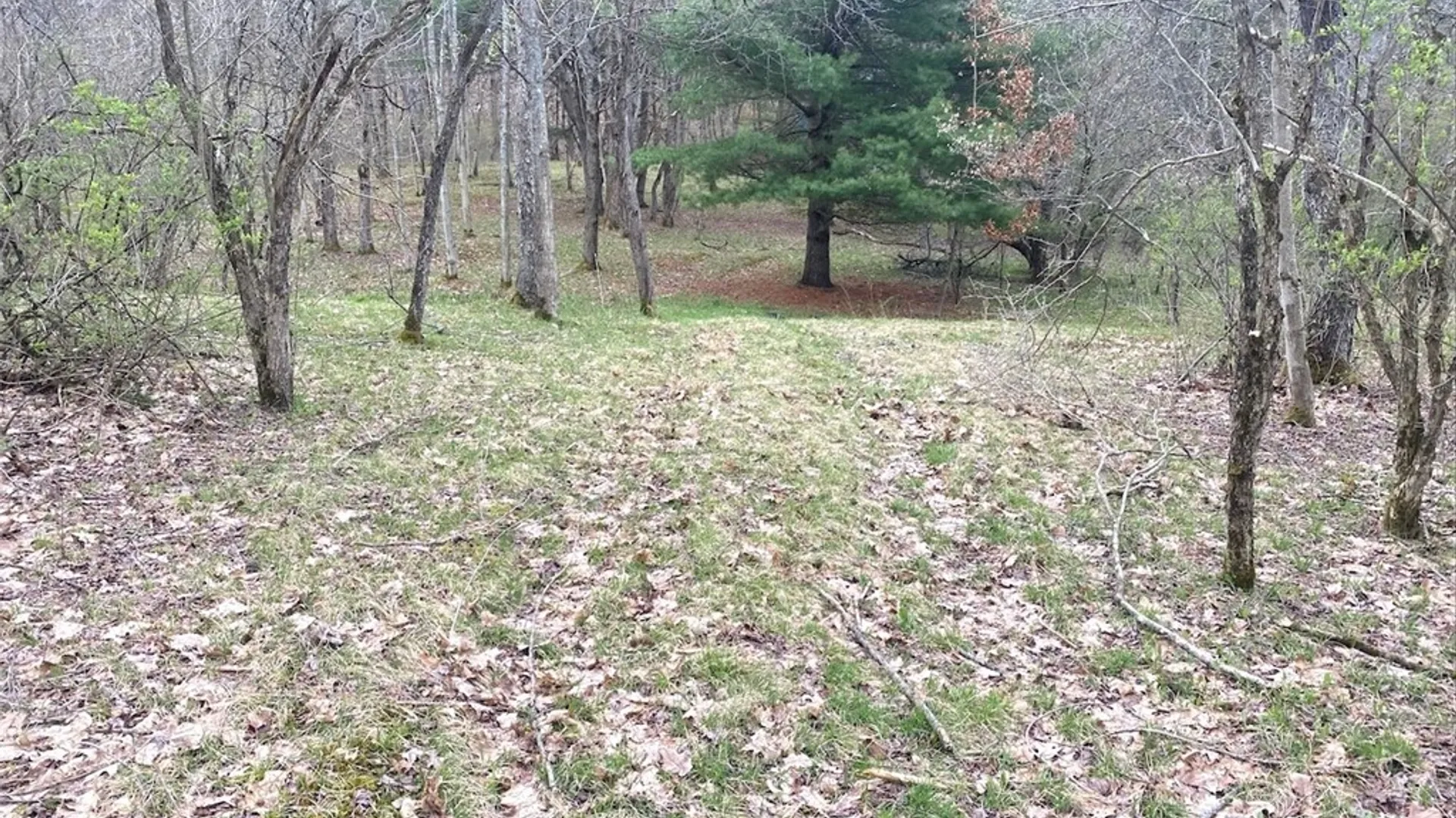 Property at 324 Main Street, Wirt, NY 14715 41