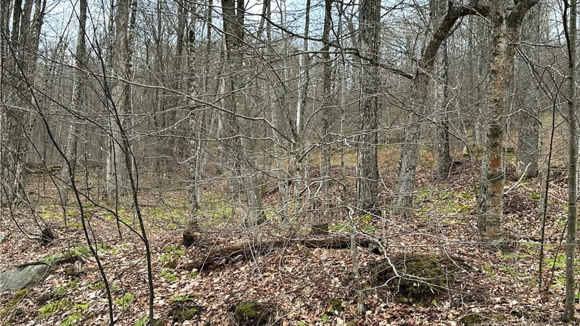 Property at Madigan Lane, Hancock, NY 13783 10