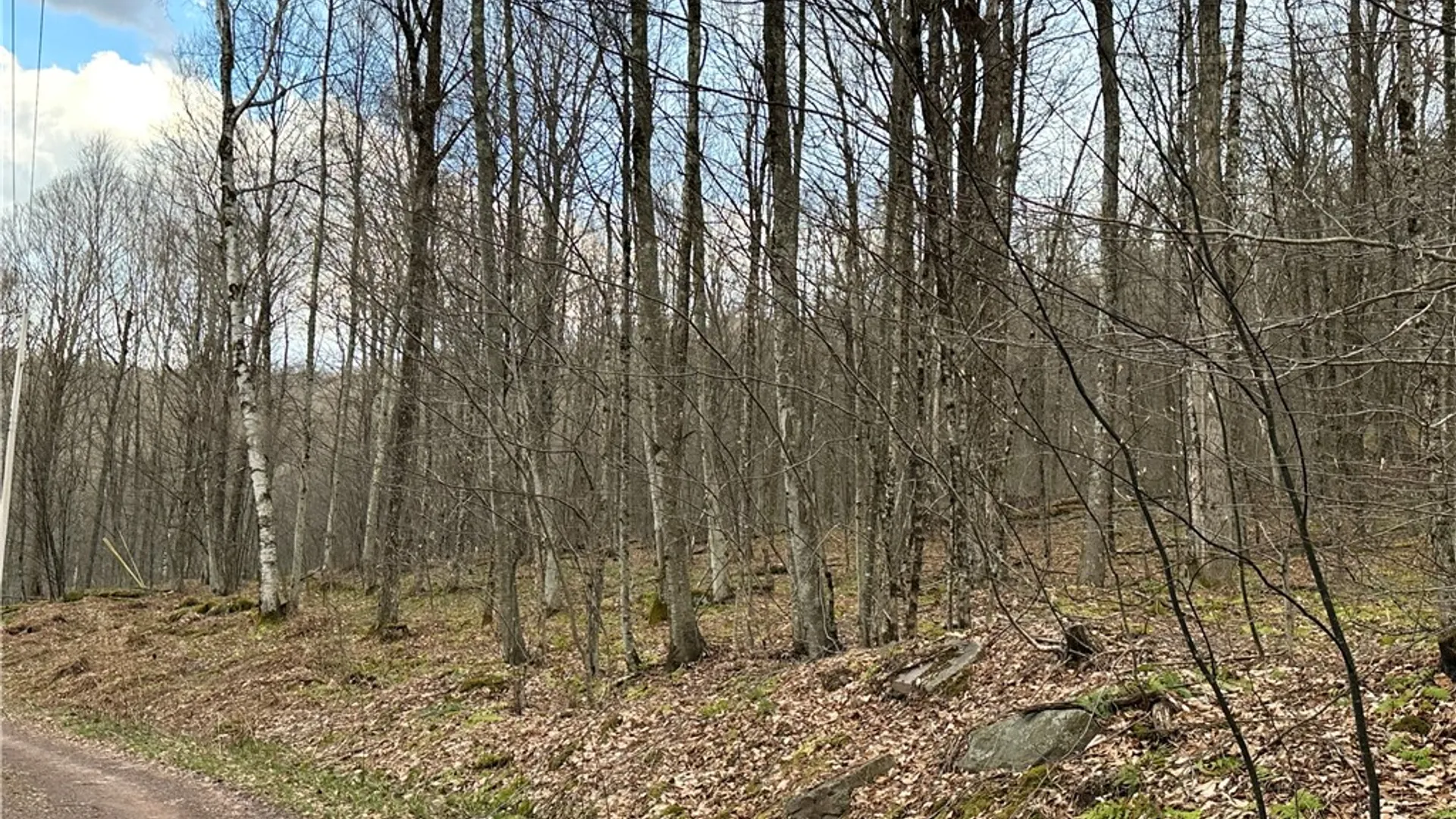 Property at Madigan Lane, Hancock, NY 13783 11