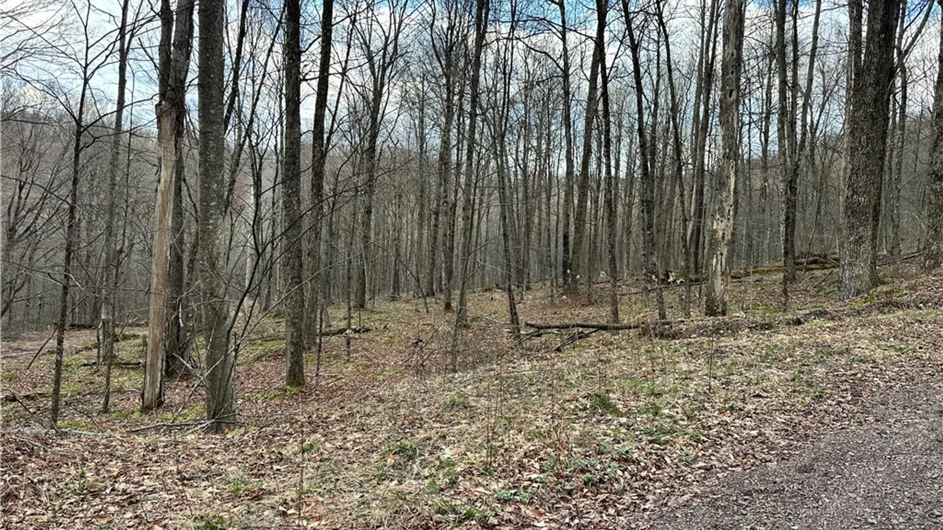 Property at Madigan Lane, Hancock, NY 13783 2