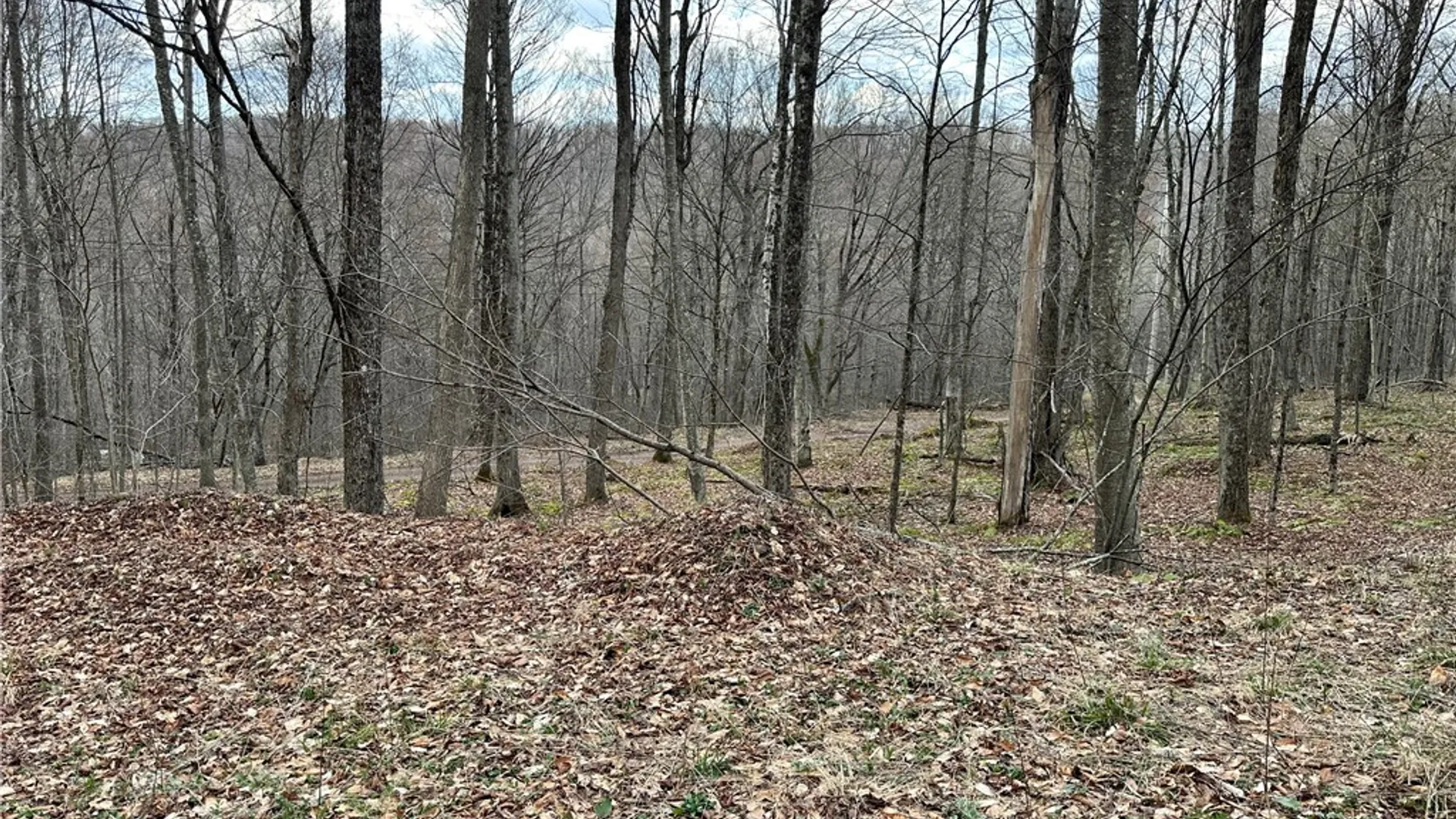 Property at Madigan Lane, Hancock, NY 13783 3