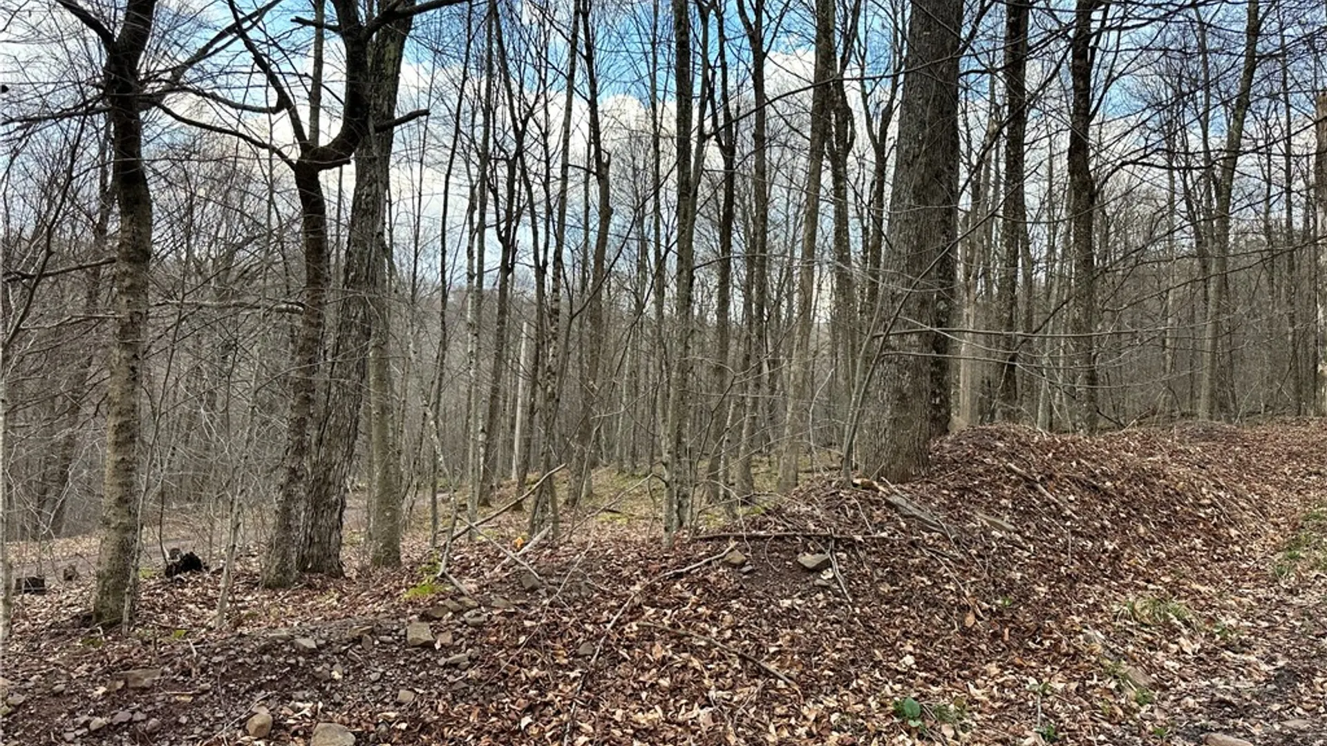 Property at Madigan Lane, Hancock, NY 13783 4