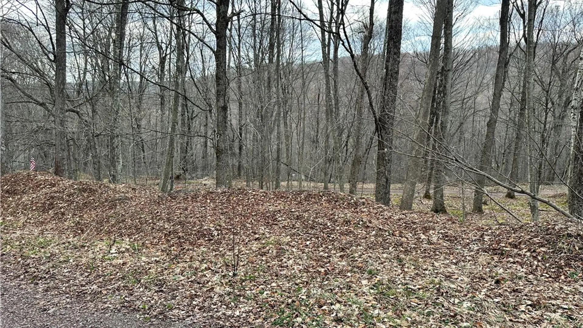 Property at Madigan Lane, Hancock, NY 13783 5