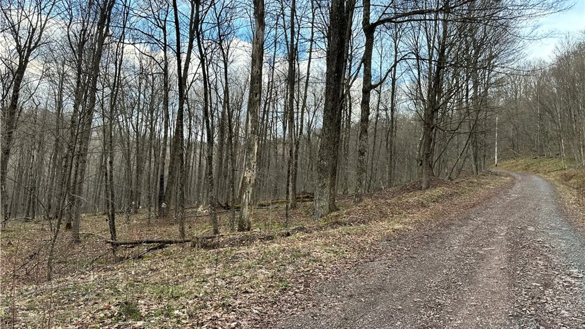 Property at Madigan Lane, Hancock, NY 13783 6