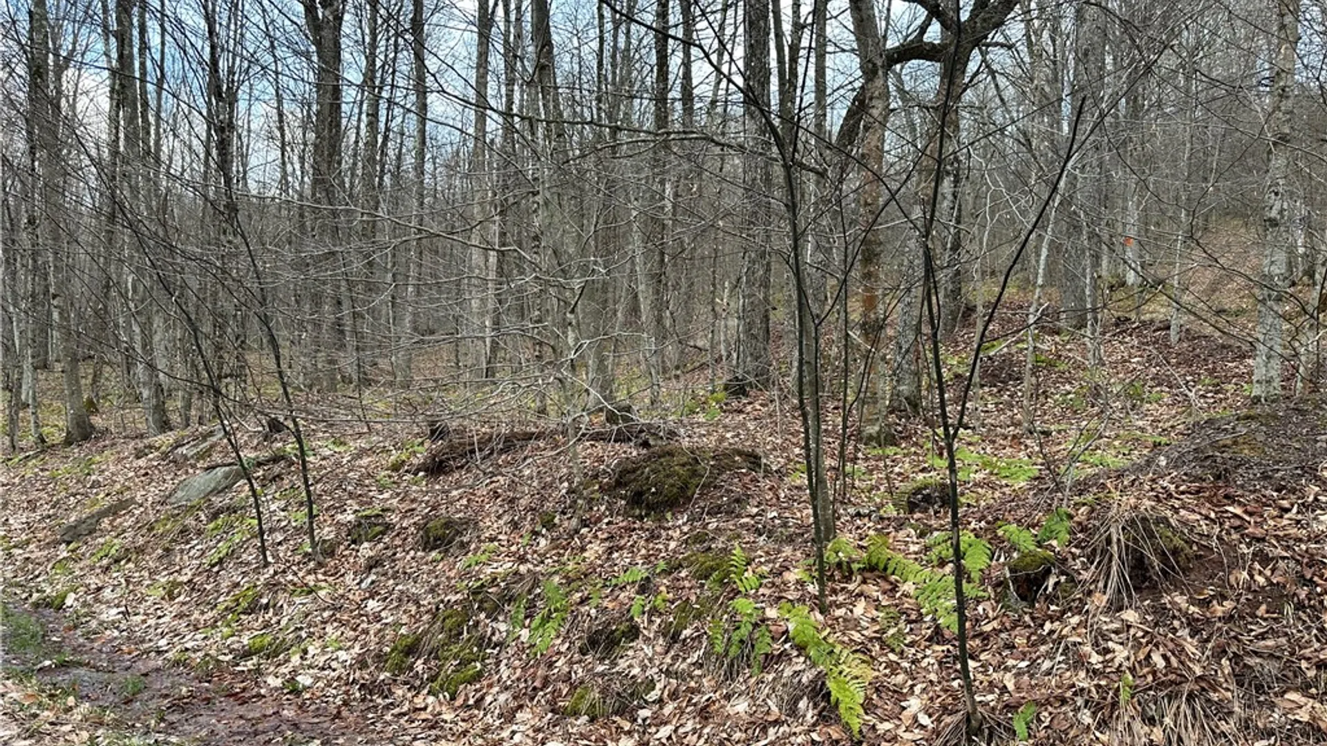 Property at Madigan Lane, Hancock, NY 13783 8