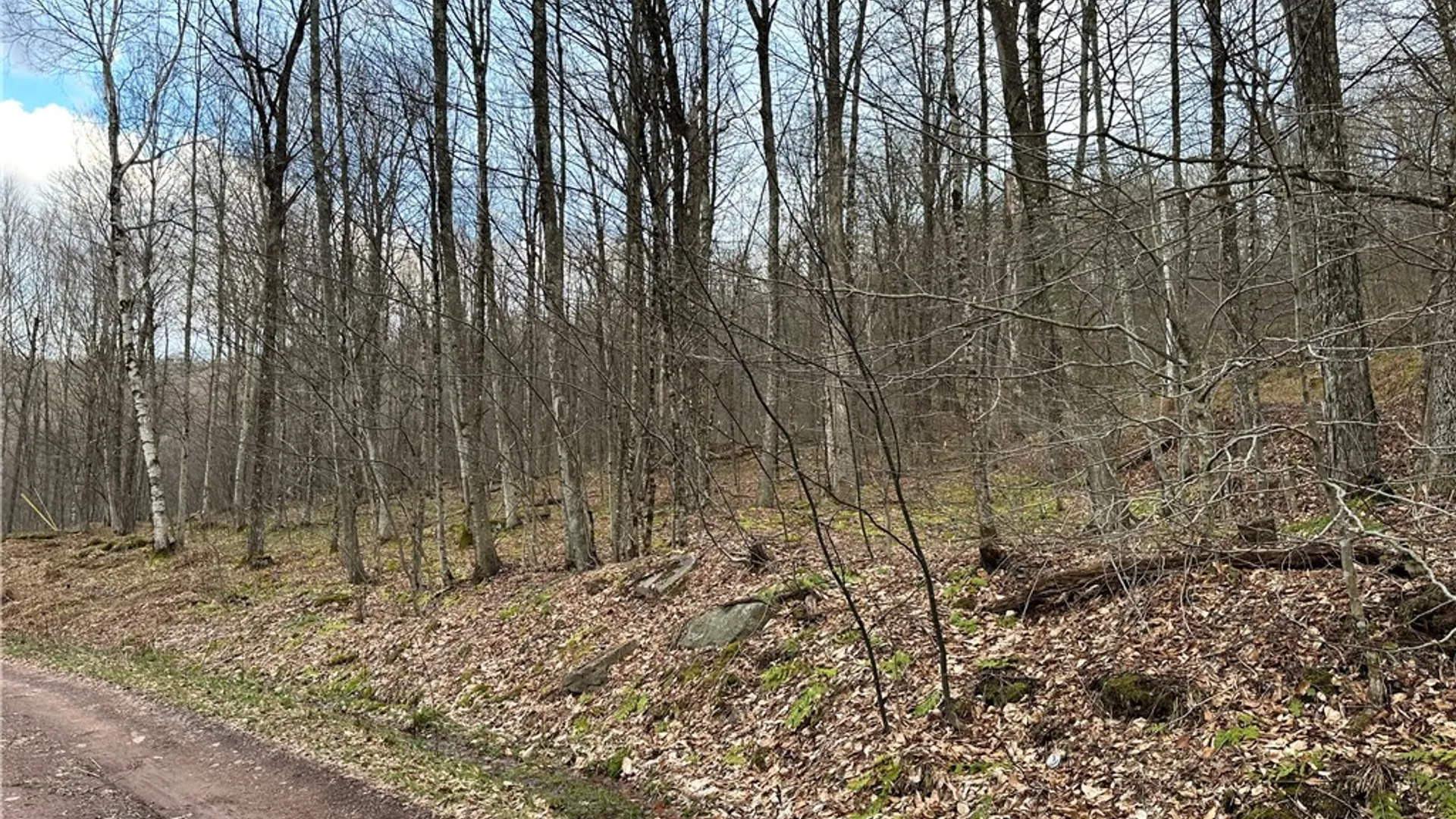 Property at Madigan Lane, Hancock, NY 13783 9
