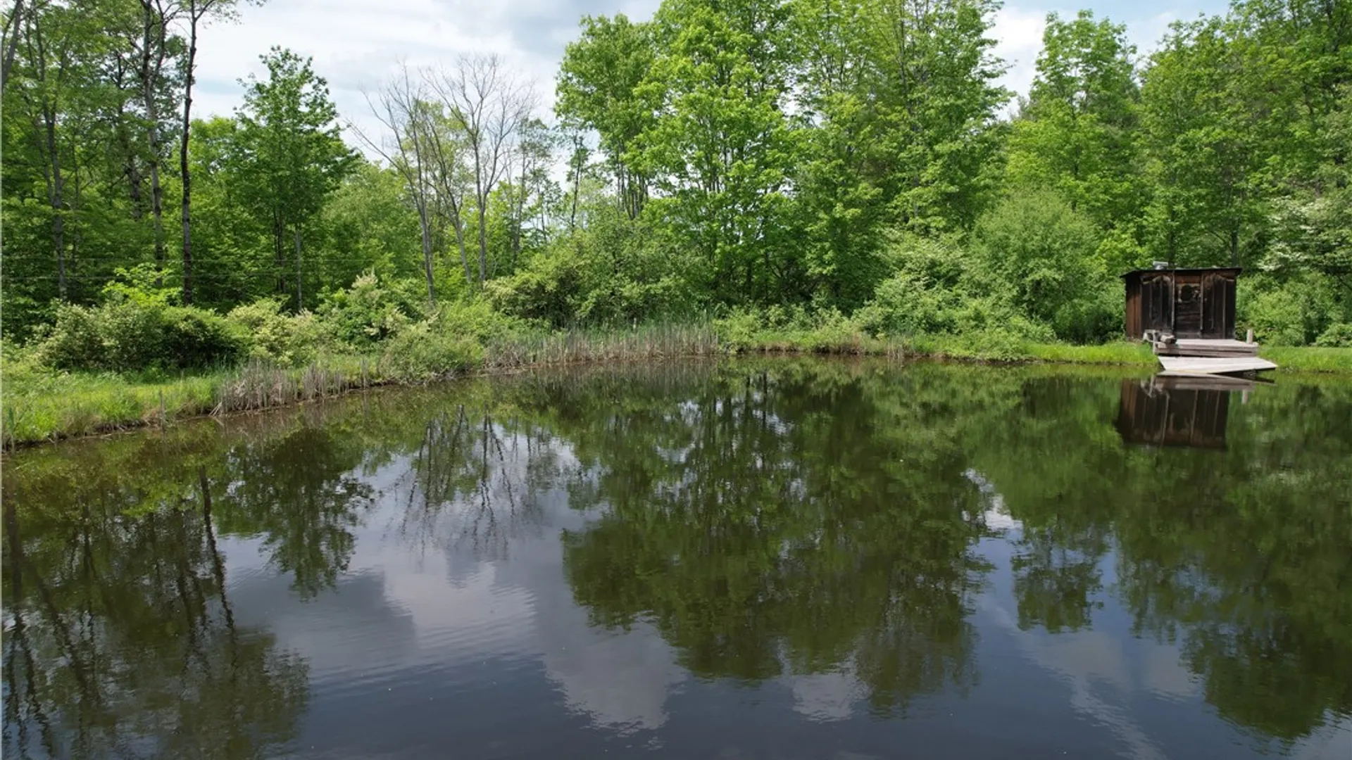 Property at Gay Hollow Road, Spencer, NY 14883 10