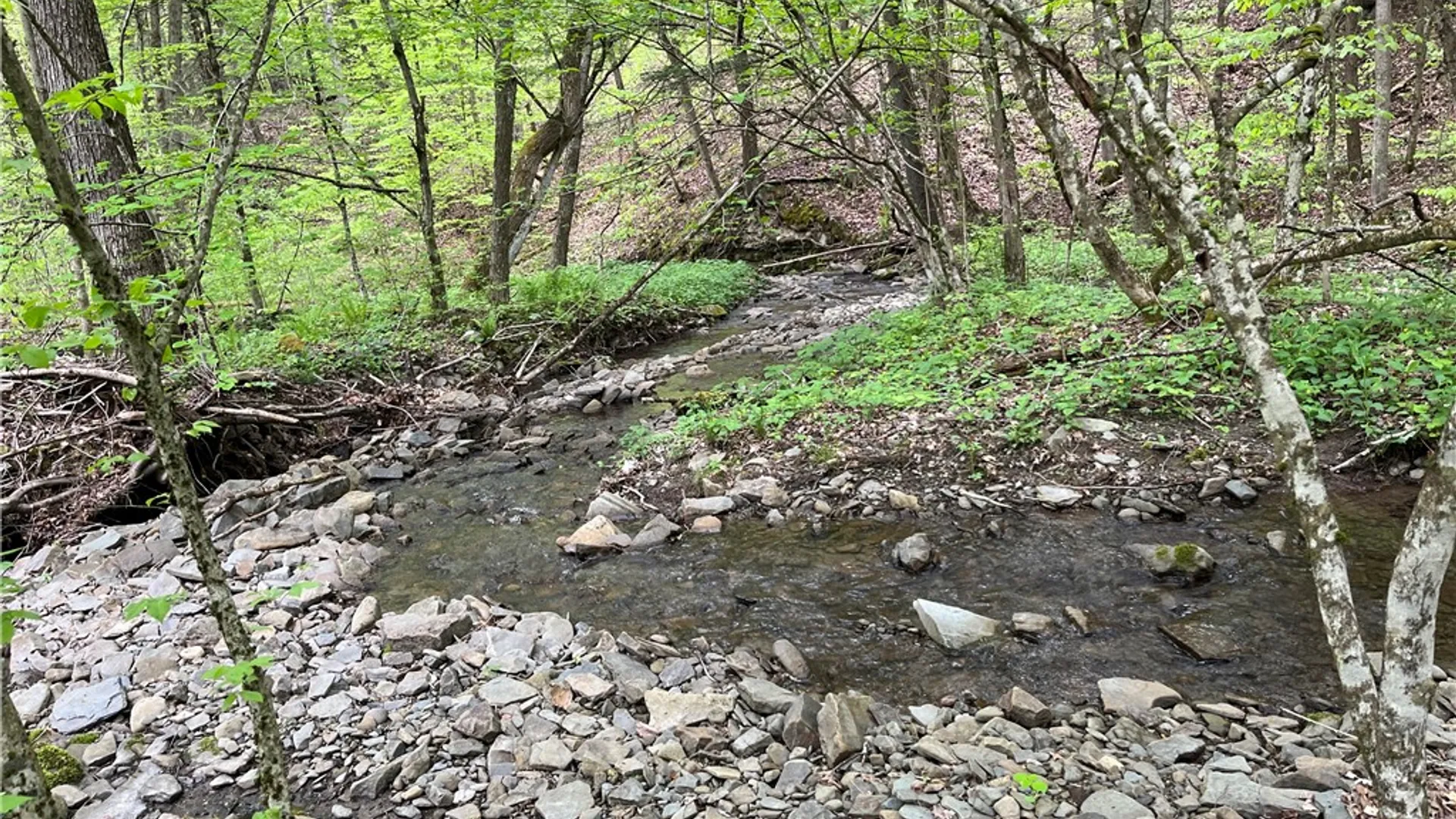 Property at Gay Hollow Road, Spencer, NY 14883 11