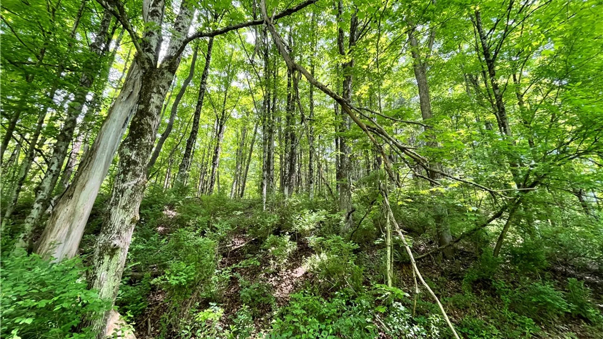 Property at Gay Hollow Road, Spencer, NY 14883 23