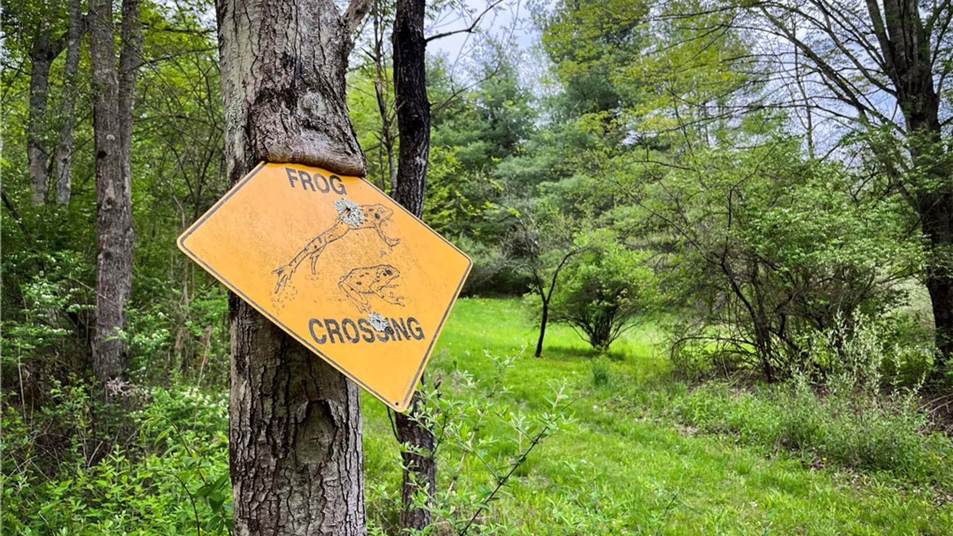 Property at Gay Hollow Road, Spencer, NY 14883 26