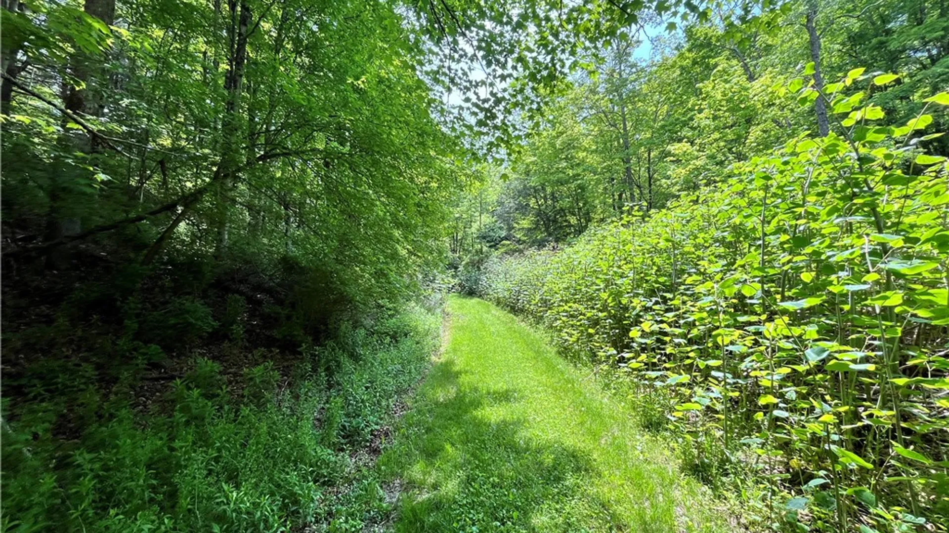 Property at Gay Hollow Road, Spencer, NY 14883 27