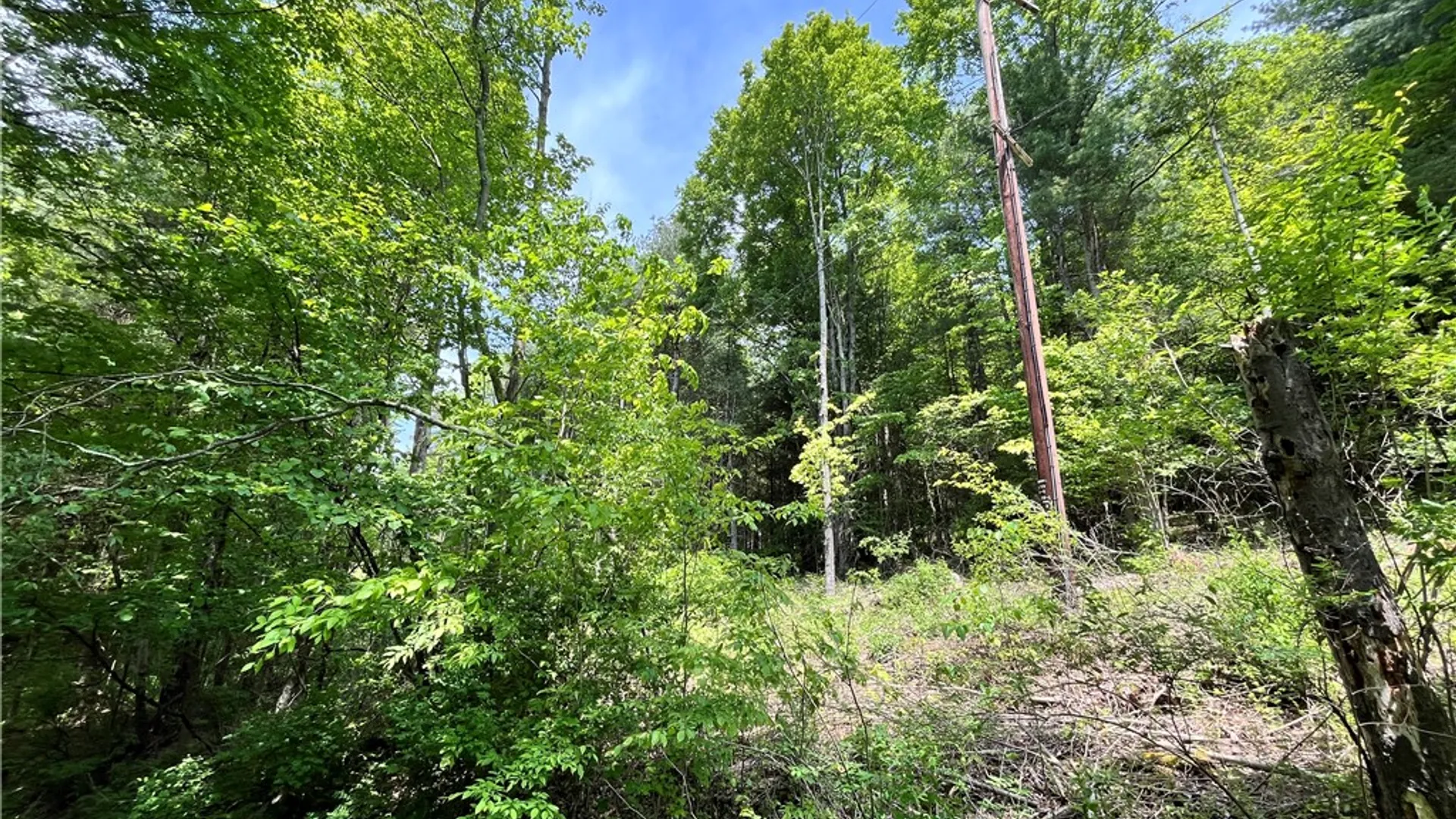 Property at Gay Hollow Road, Spencer, NY 14883 28