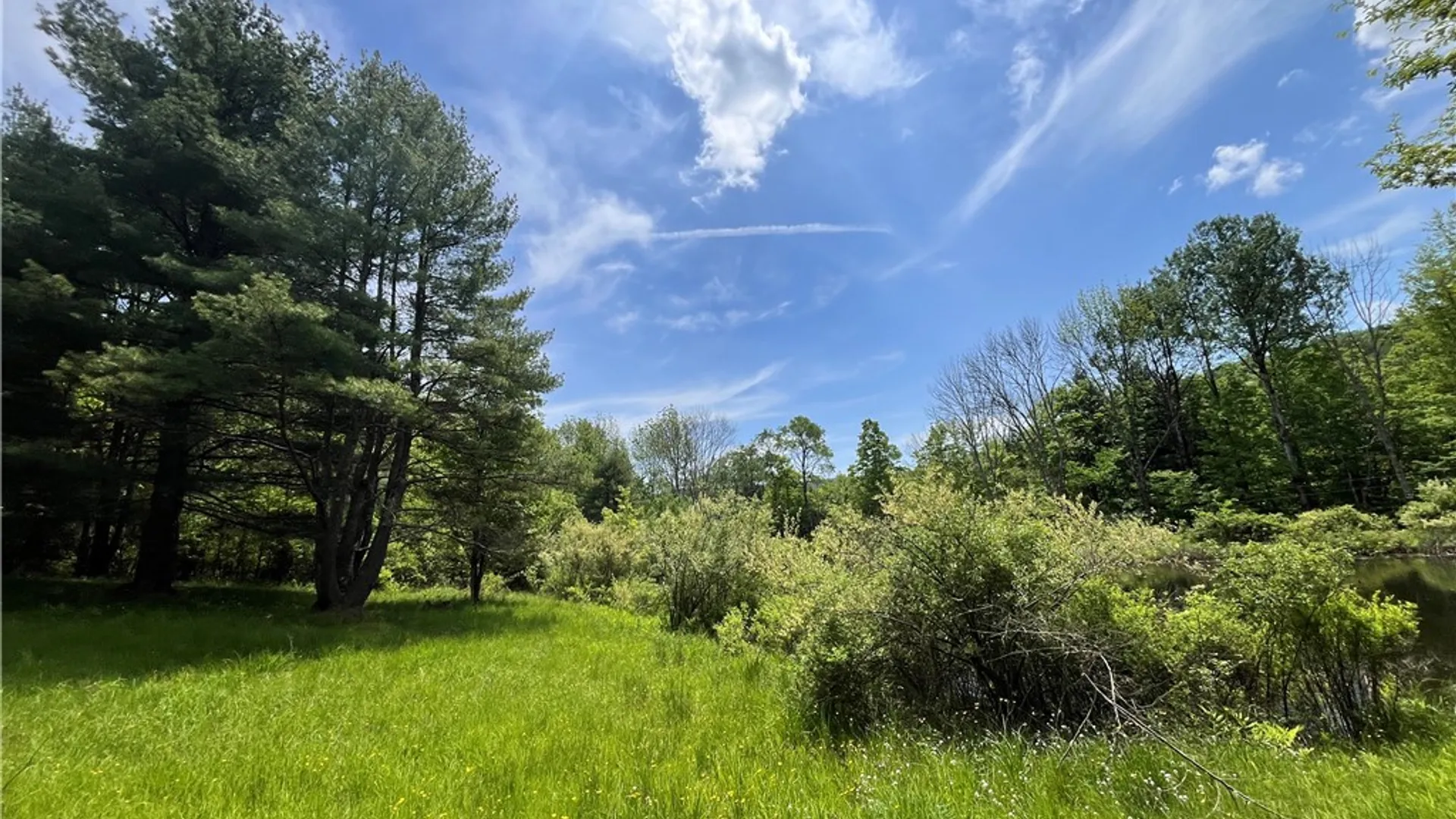 Property at Gay Hollow Road, Spencer, NY 14883 34