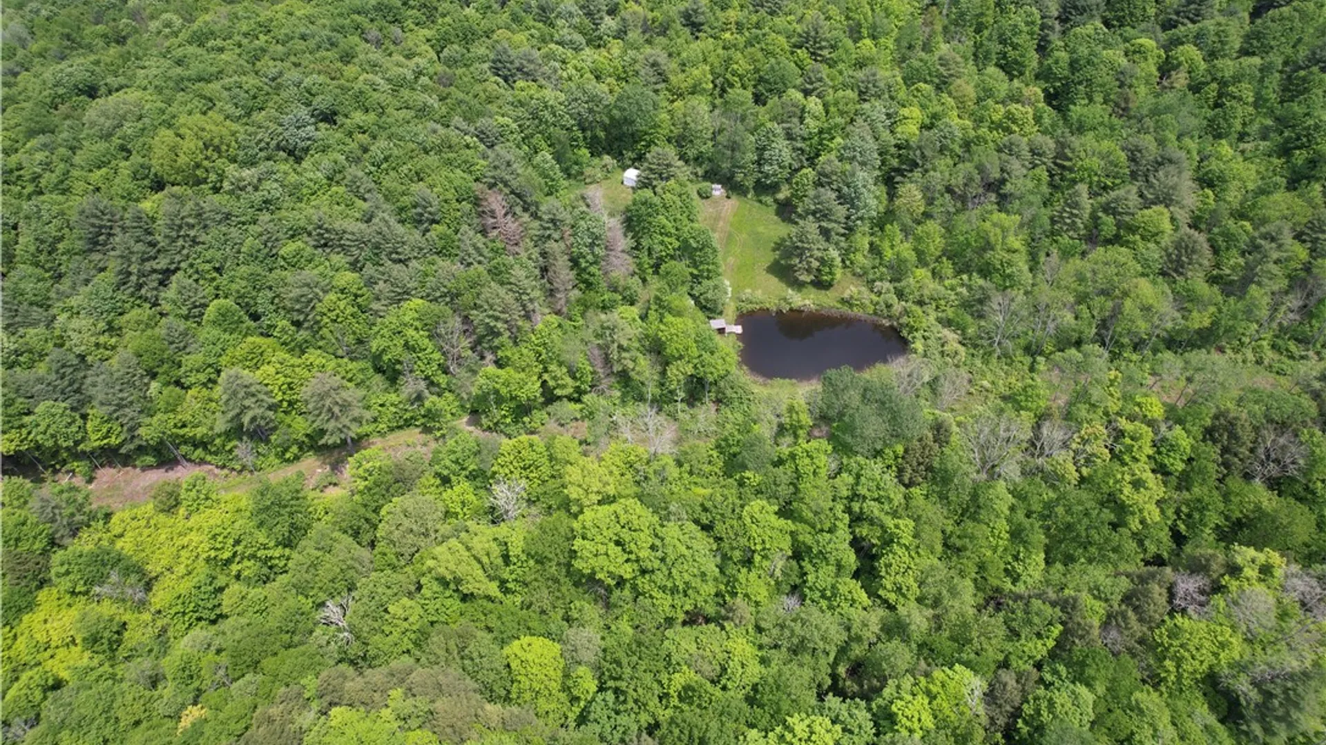 Property at Gay Hollow Road, Spencer, NY 14883 35