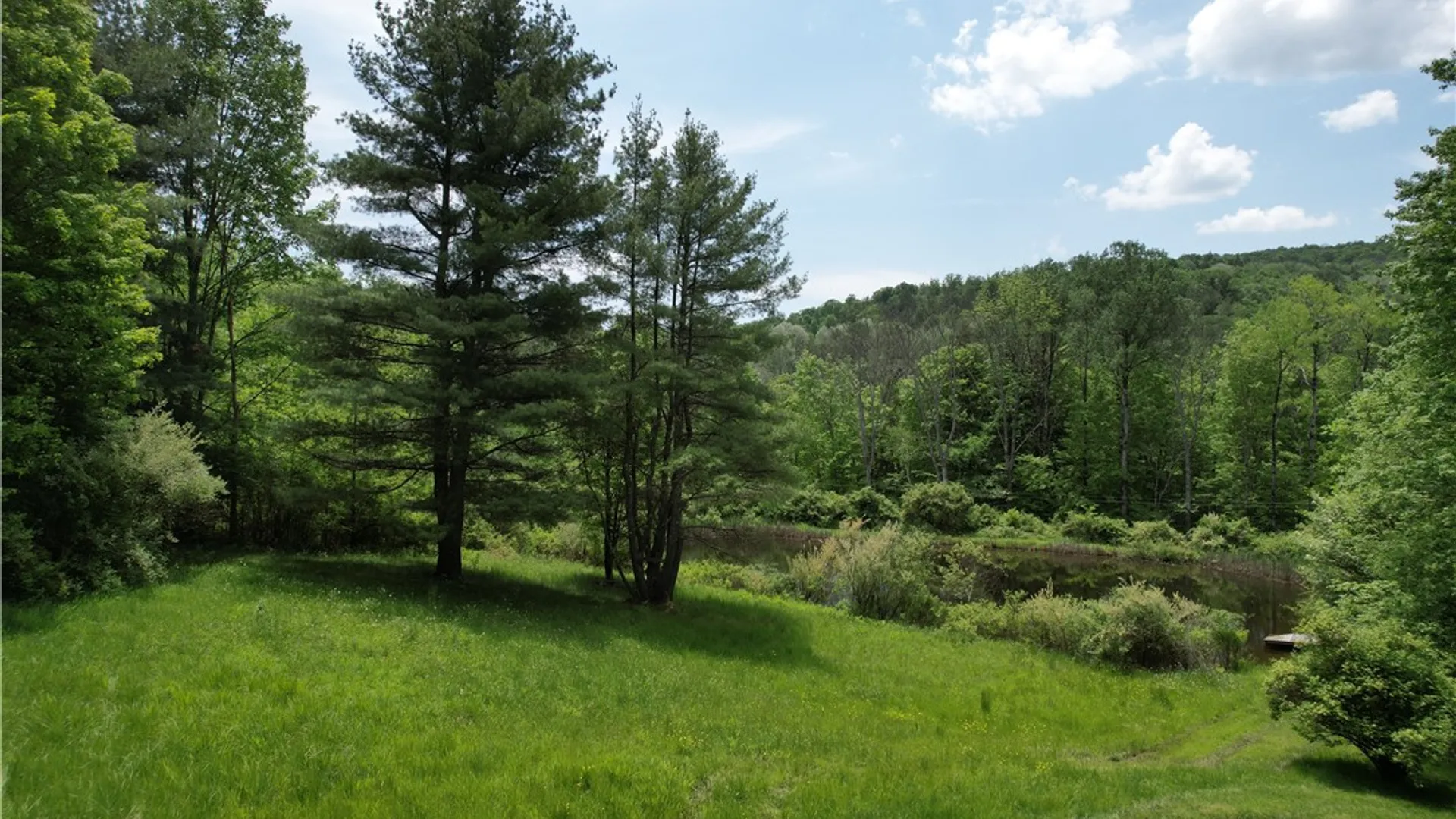 Property at Gay Hollow Road, Spencer, NY 14883 38