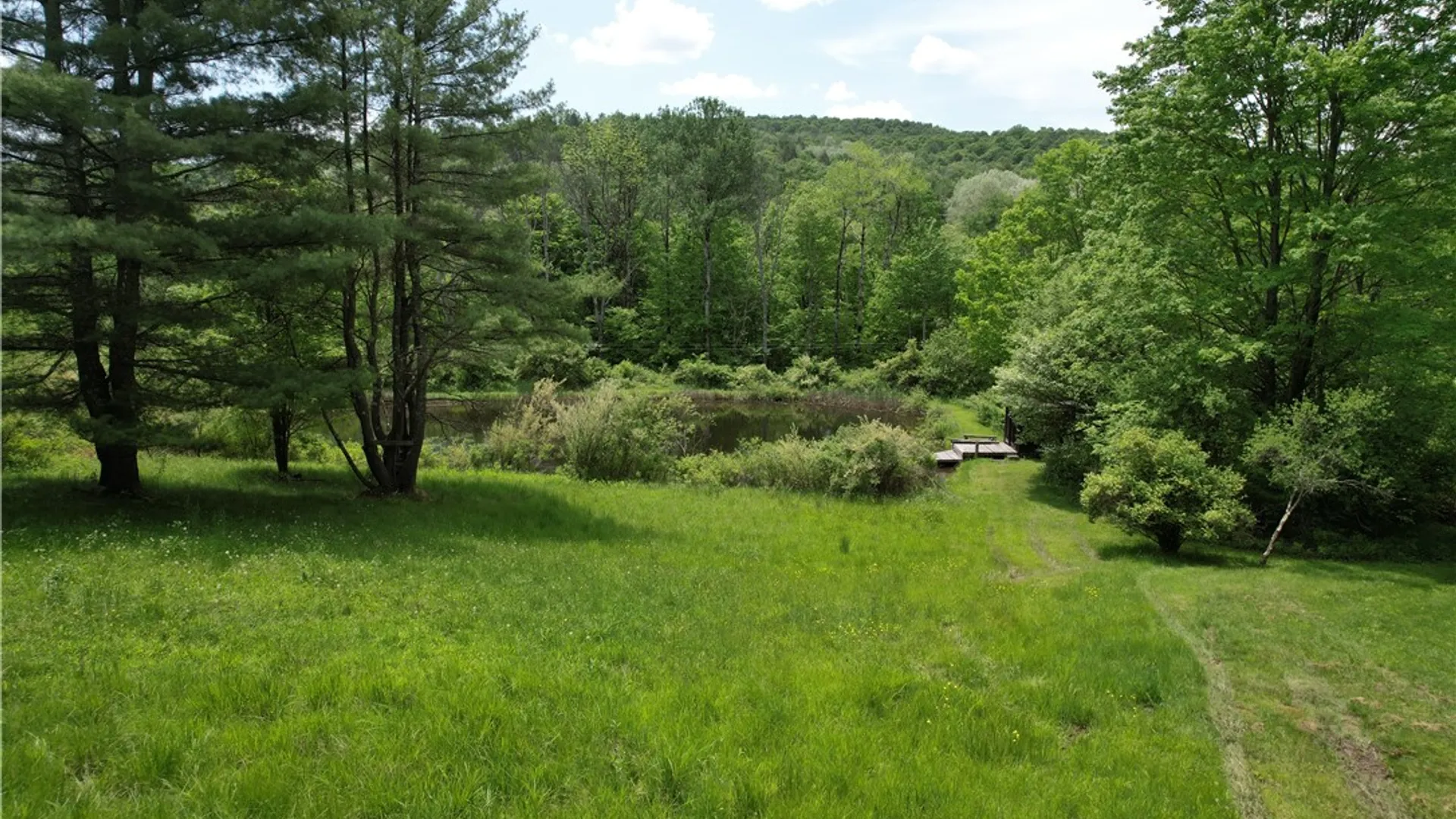 Property at Gay Hollow Road, Spencer, NY 14883 39