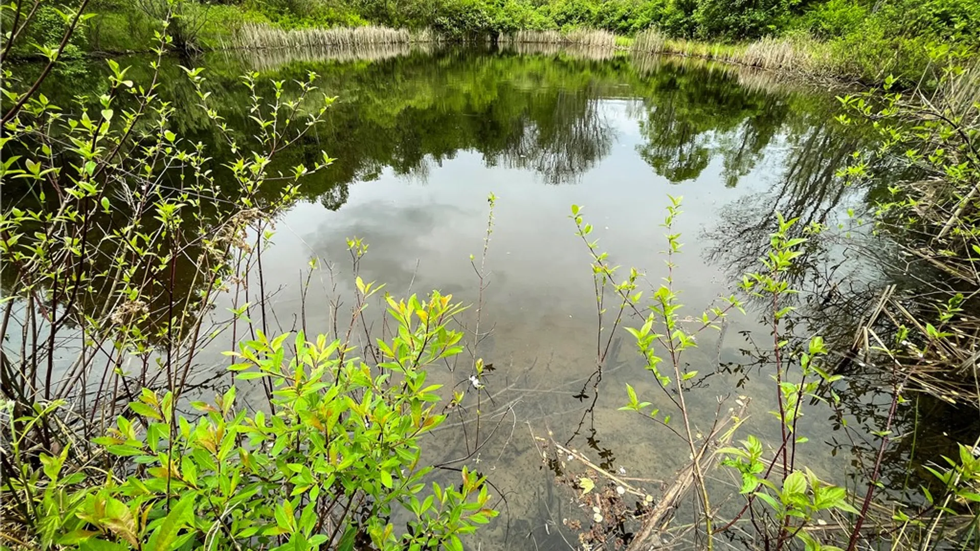 Property at Gay Hollow Road, Spencer, NY 14883 43