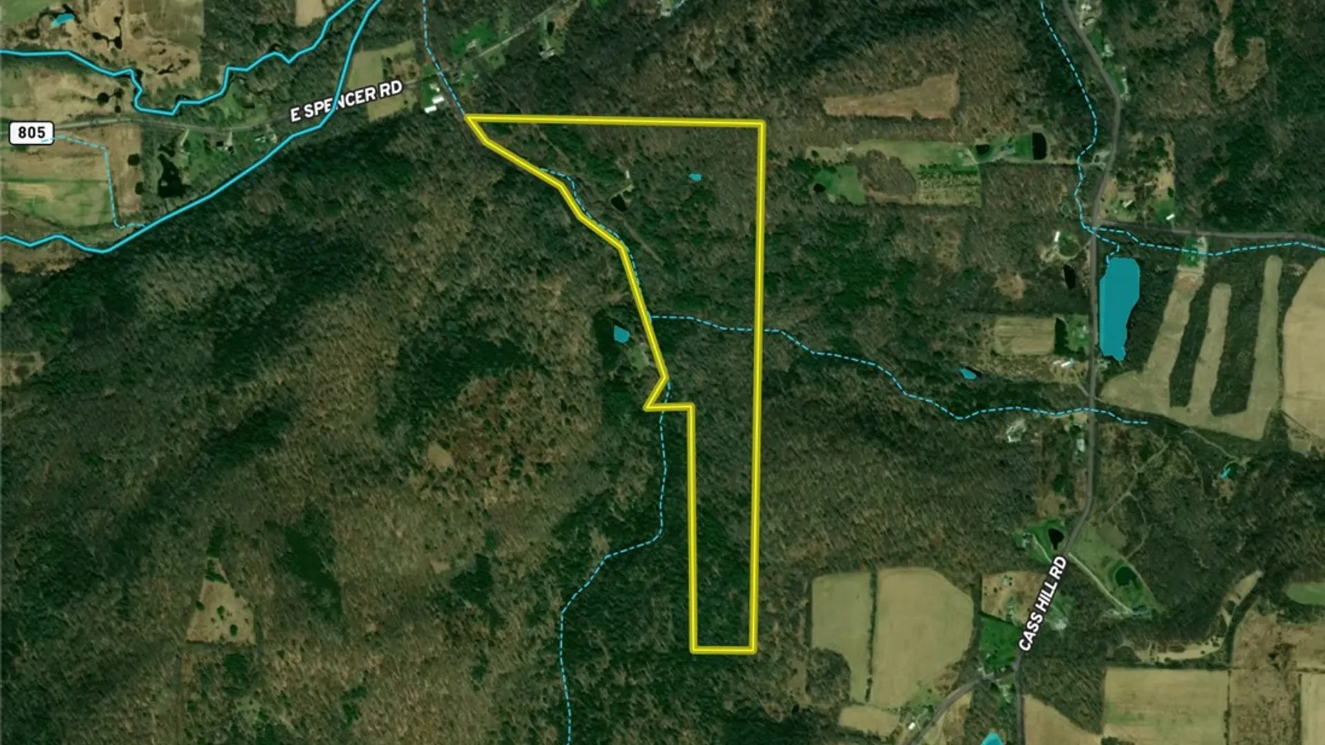 Property at Gay Hollow Road, Spencer, NY 14883 47