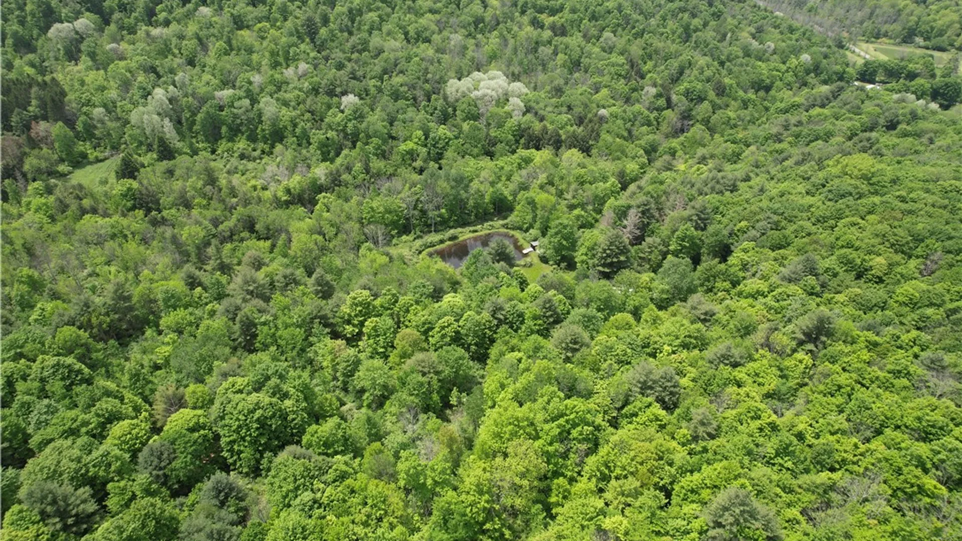 Property at Gay Hollow Road, Spencer, NY 14883 7