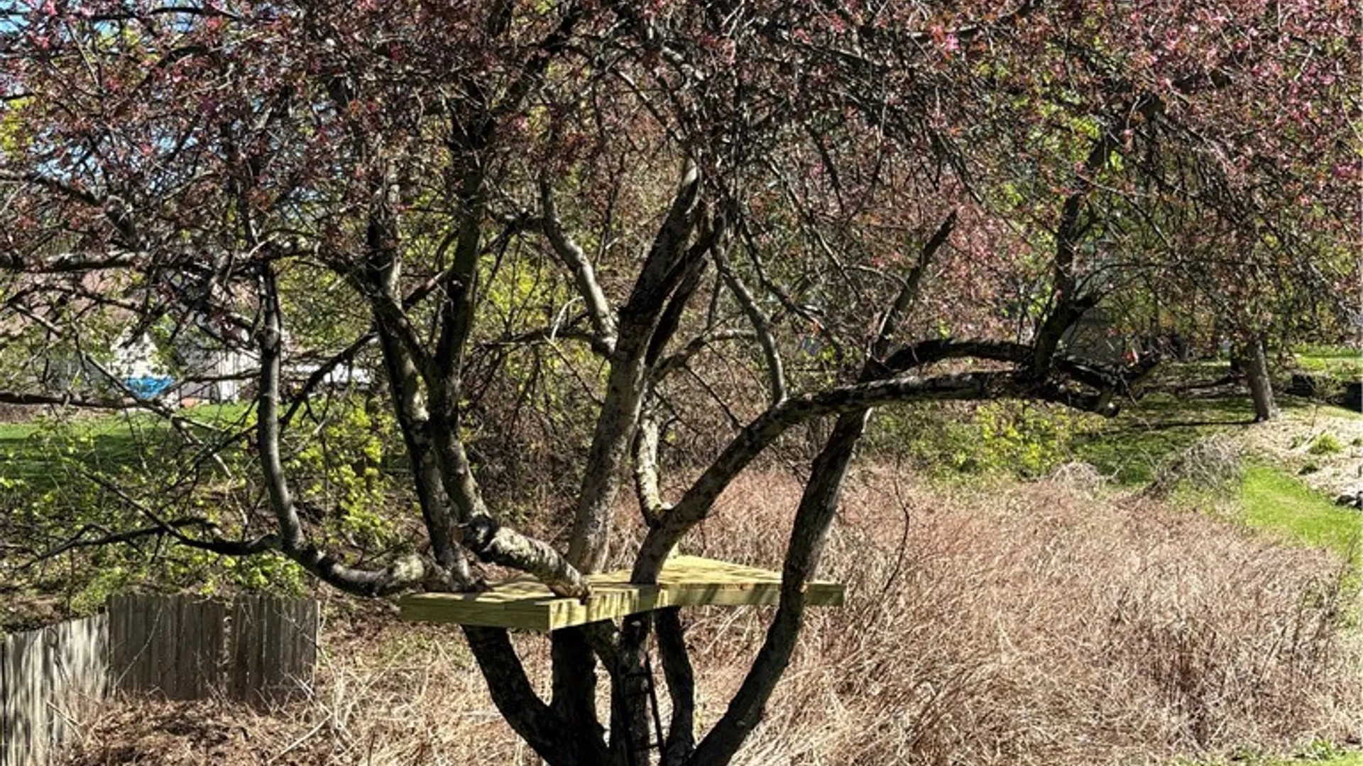 Property at 9 Delaware Avenue, Sidney, NY 13838 6