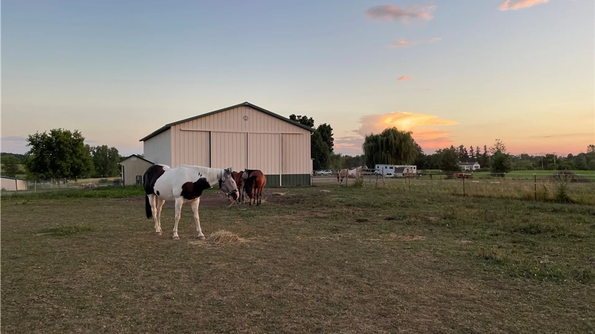 Property at 380 Morgan Road, Chili, NY 14546 15