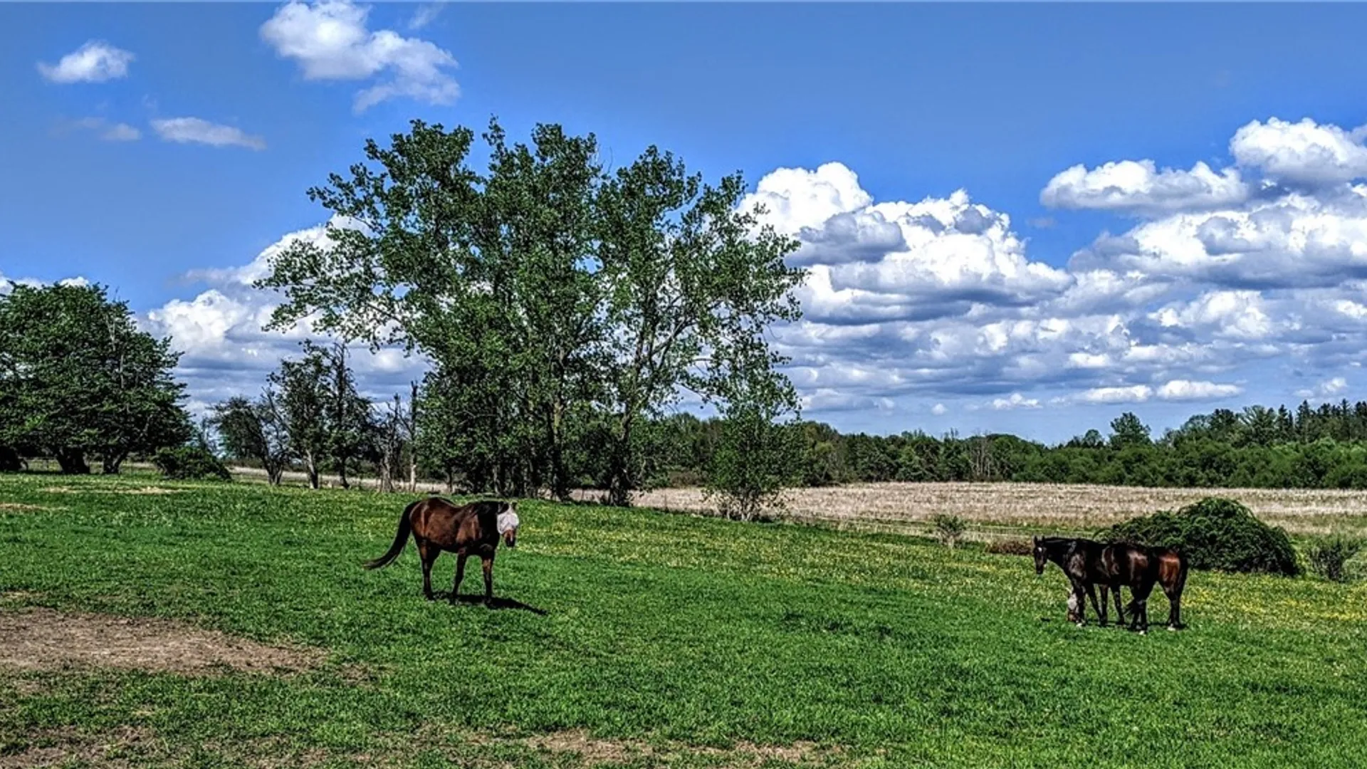 Property at 380 Morgan Road, Chili, NY 14546 3