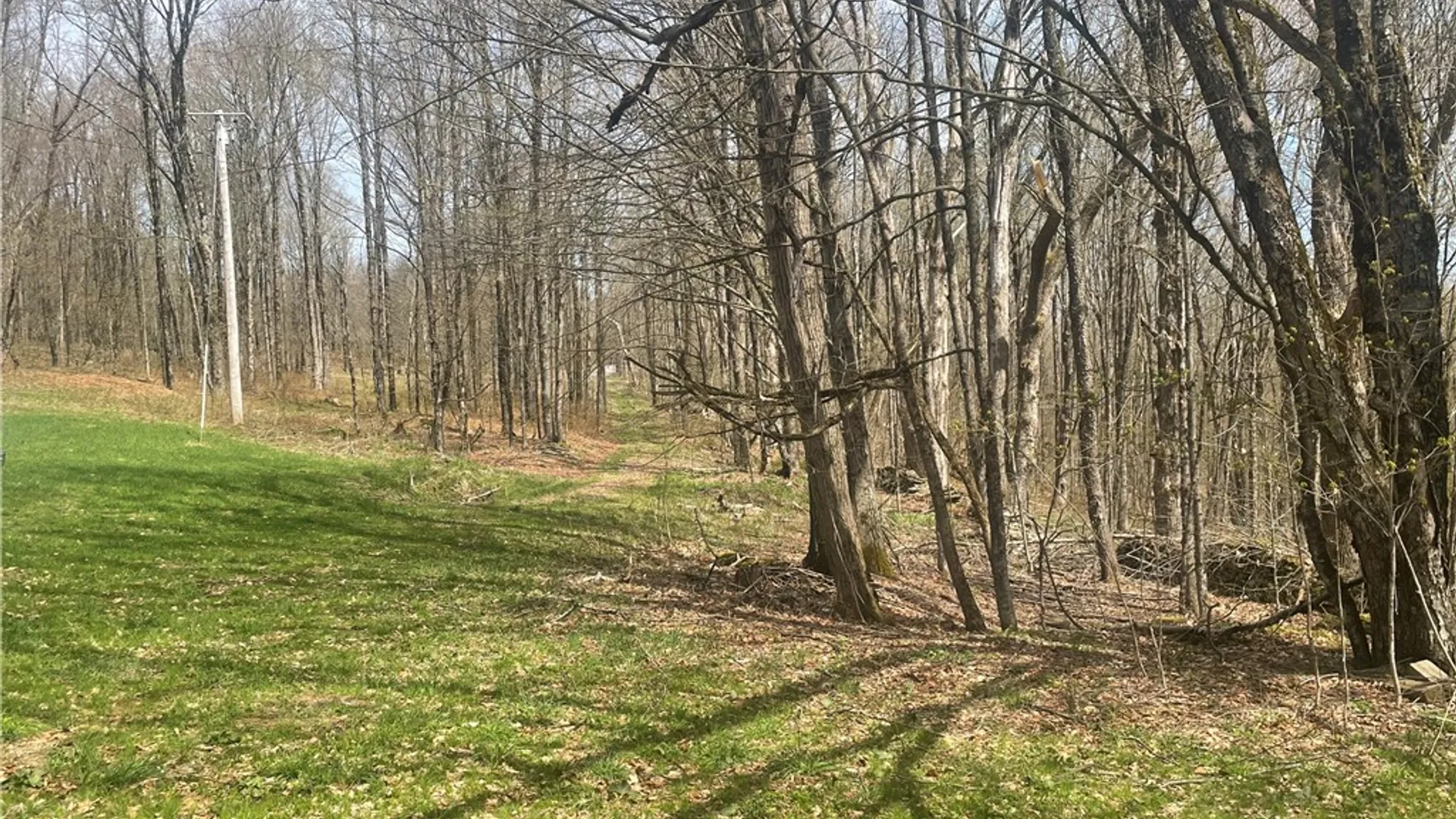 Property at 340 Sherman Hill Road, Sanford, NY 13730 6