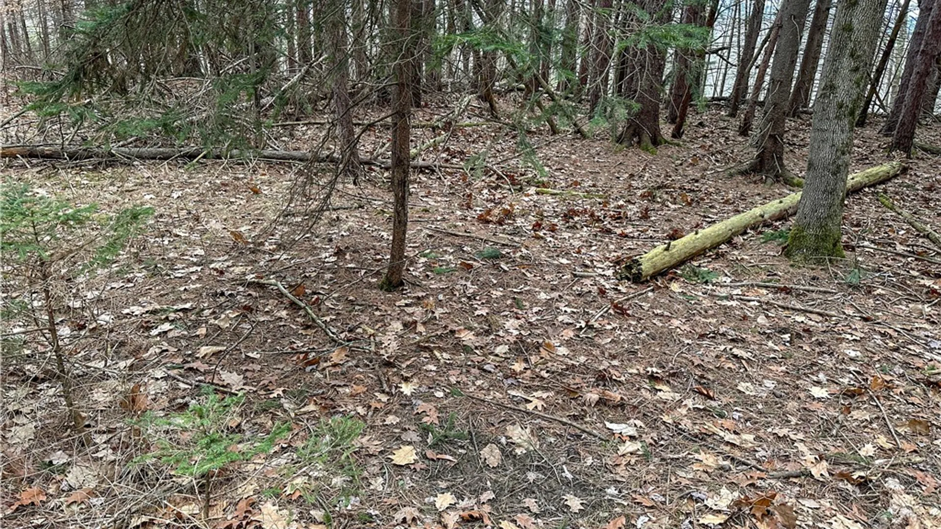 Property at 383 Big Oak Lane, Burns, NY 14807 18