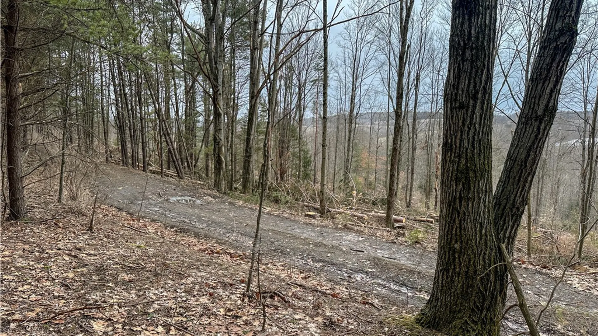 Property at 383 Big Oak Lane, Burns, NY 14807 21
