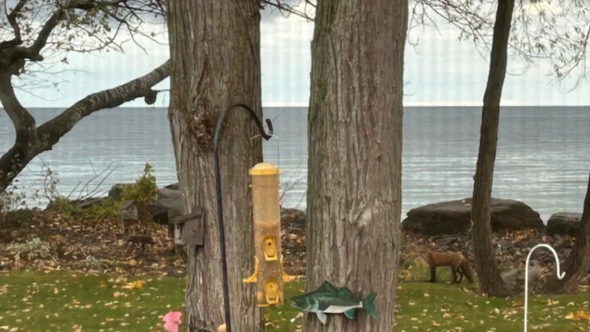 Property at 7296 Sandy Shore Drive, Hamlin, NY 14464 33