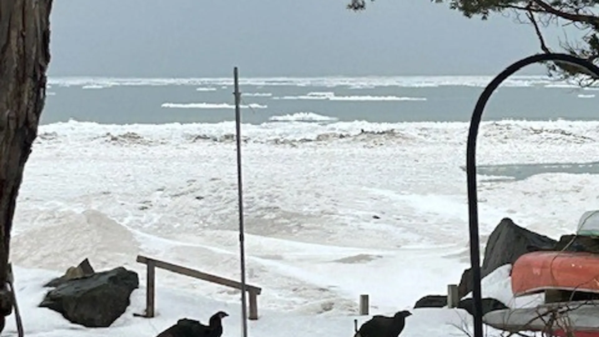 Property at 7296 Sandy Shore Drive, Hamlin, NY 14464 34