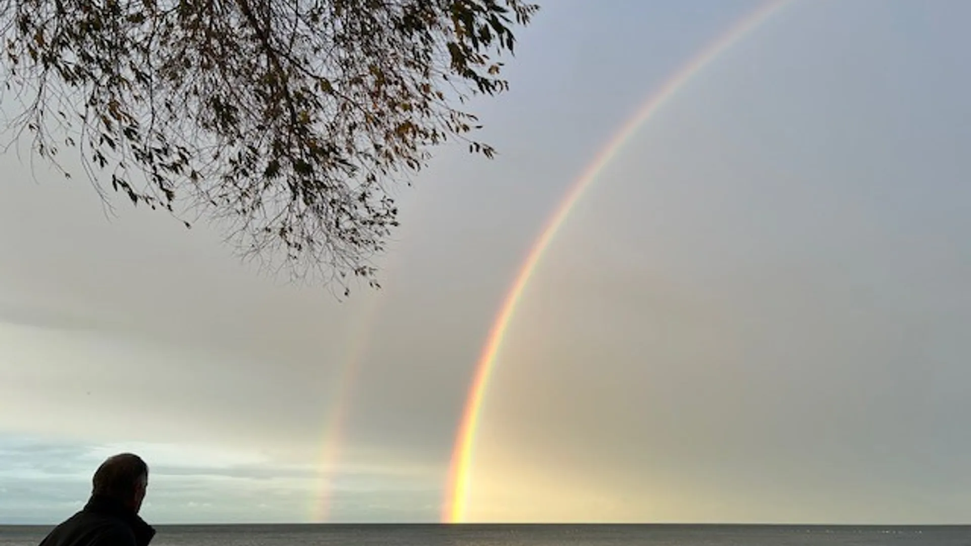 Property at 7296 Sandy Shore Drive, Hamlin, NY 14464 35