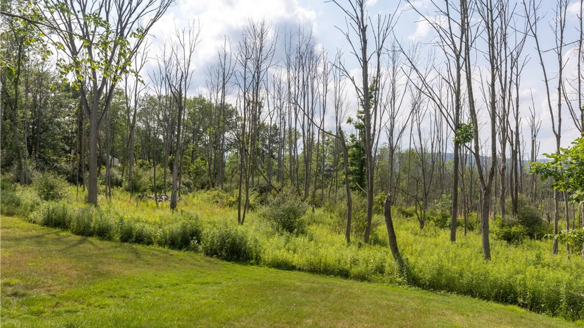 Property at 29 Valley View Drive, Big Flats, NY 14903 45