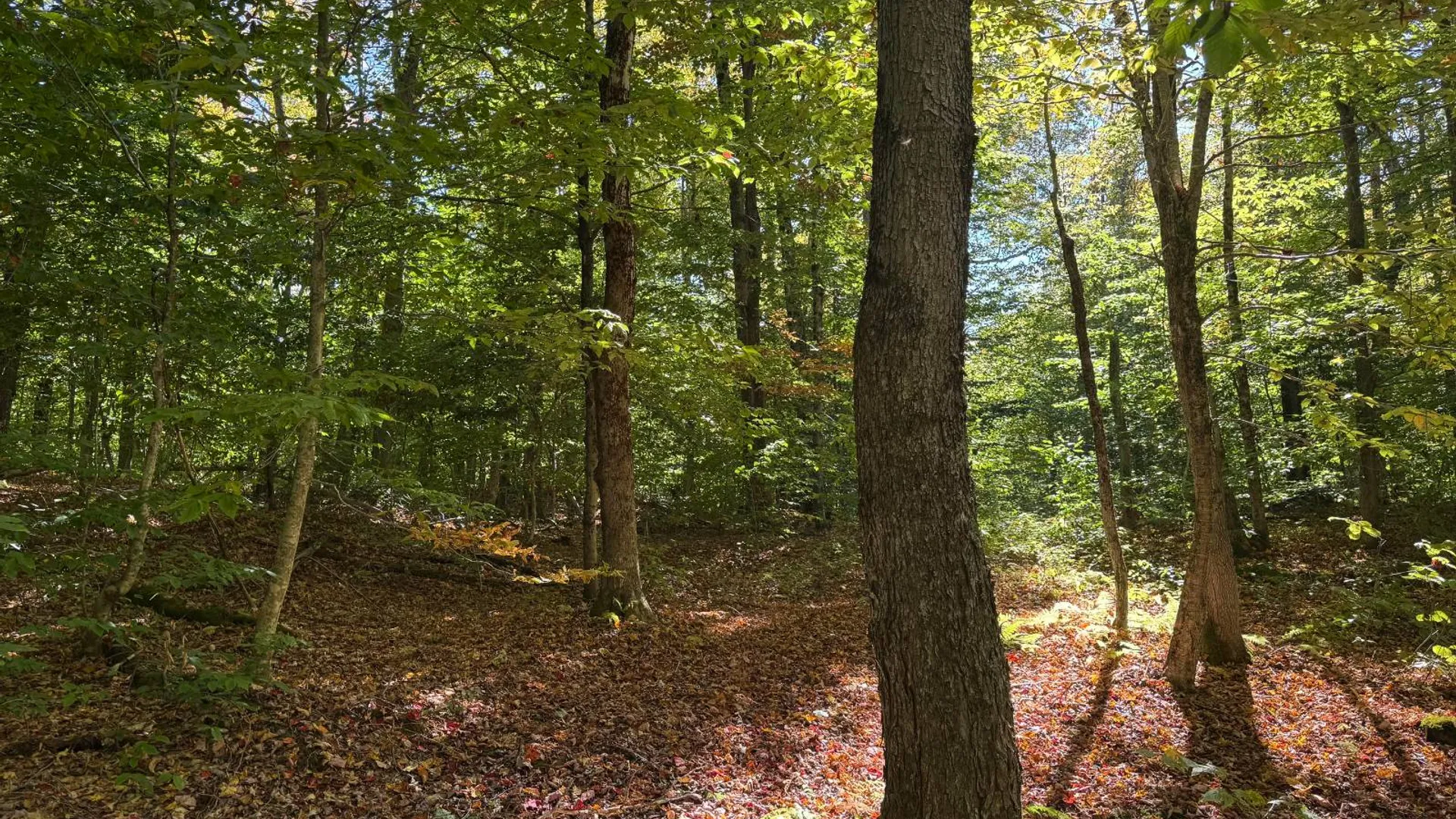 Property at 2462 S Niciu Rd, Redfield, NY 13437 26