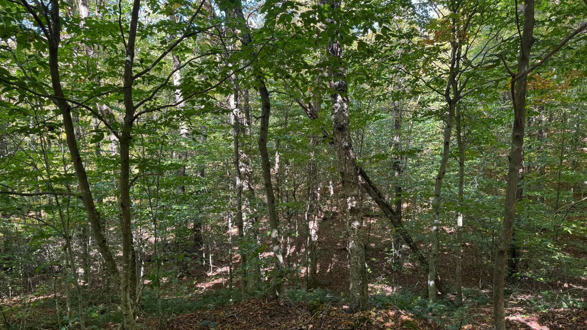 Property at 2462 S Niciu Rd, Redfield, NY 13437 31