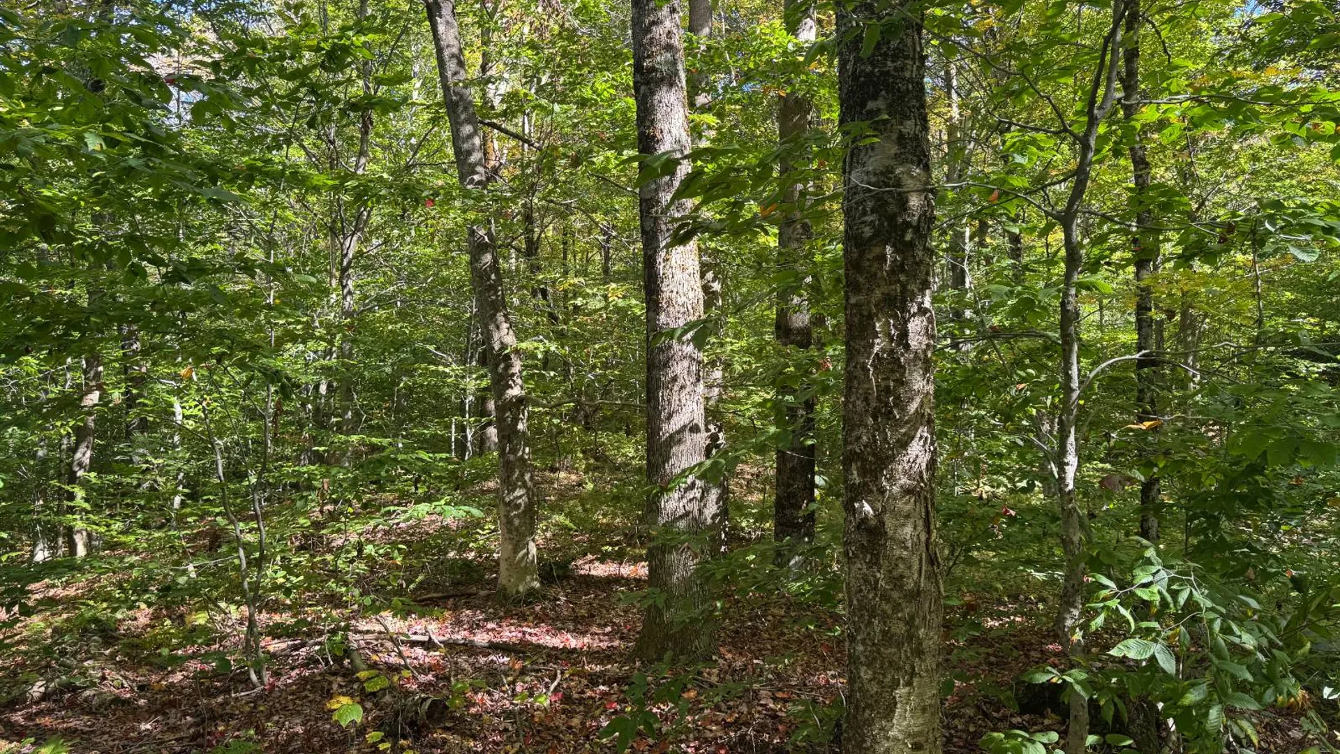 Property at 2462 S Niciu Rd, Redfield, NY 13437 34