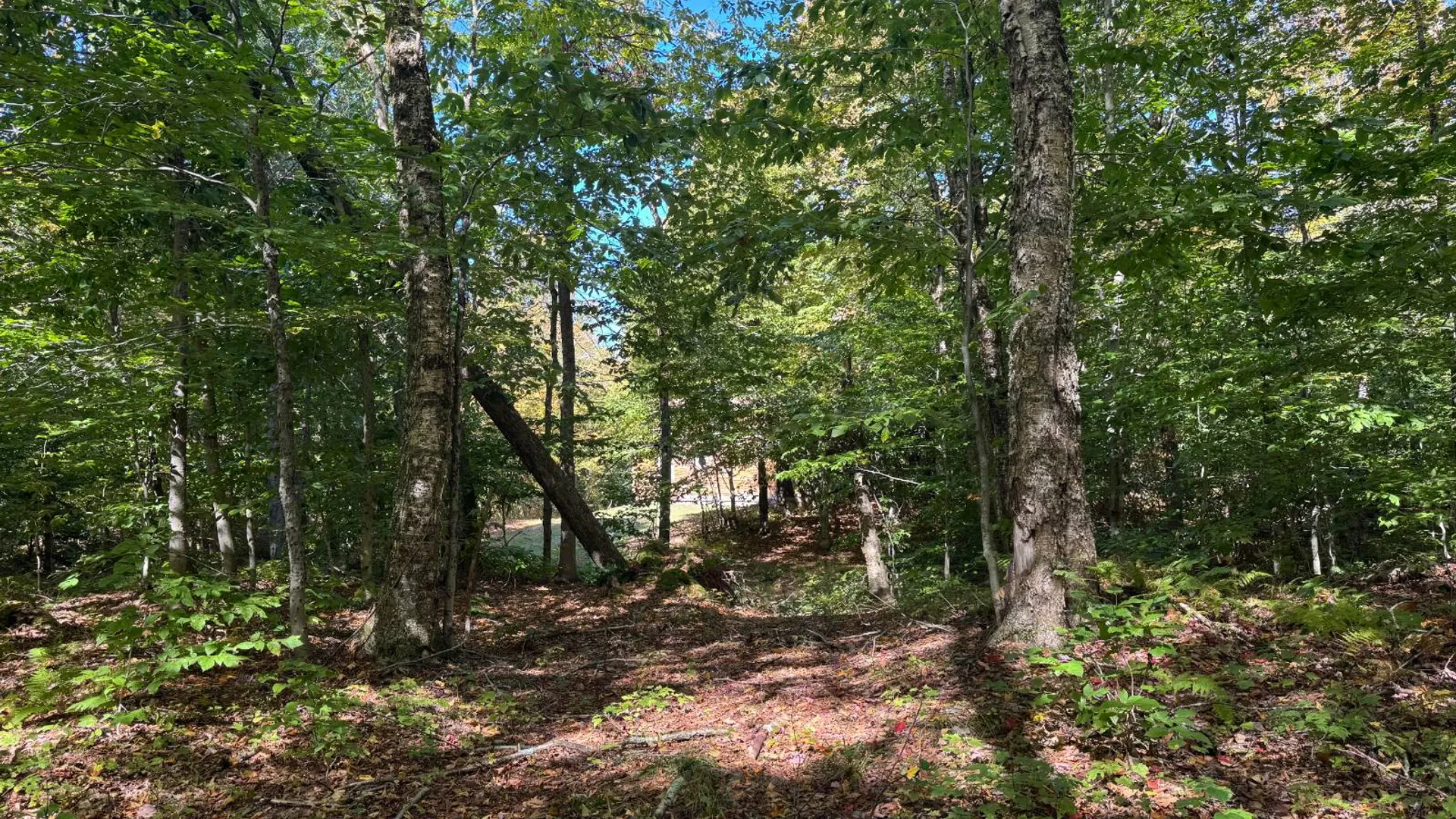 Property at 2462 S Niciu Rd, Redfield, NY 13437 35