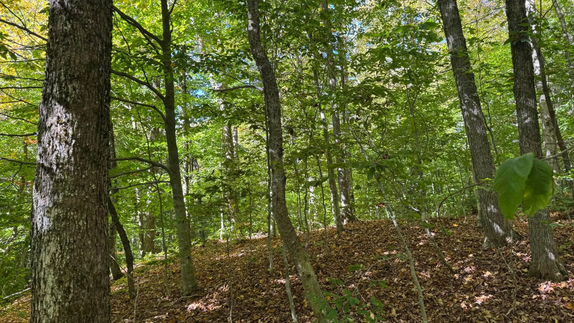 Property at 2462 S Niciu Rd, Redfield, NY 13437 45