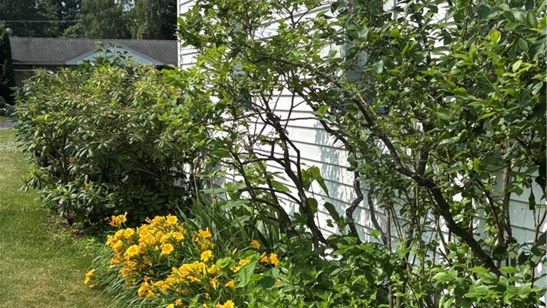 Property at 38 Shadmore Drive, Greece, NY 14626 45