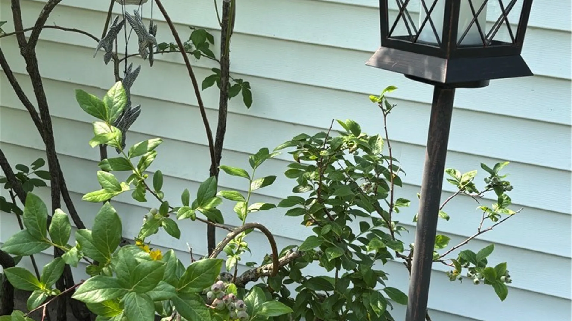 Property at 38 Shadmore Drive, Greece, NY 14626 46