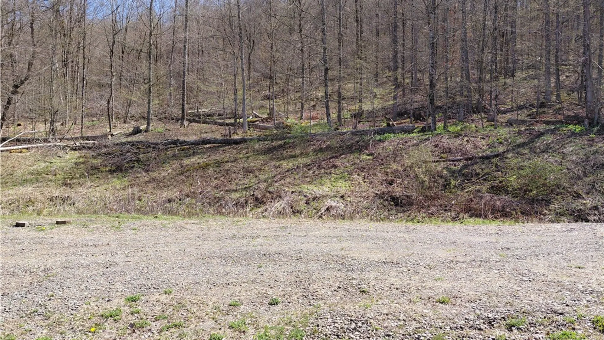 Property at 2930 Blue School Road, Franklin, NY 13775 8