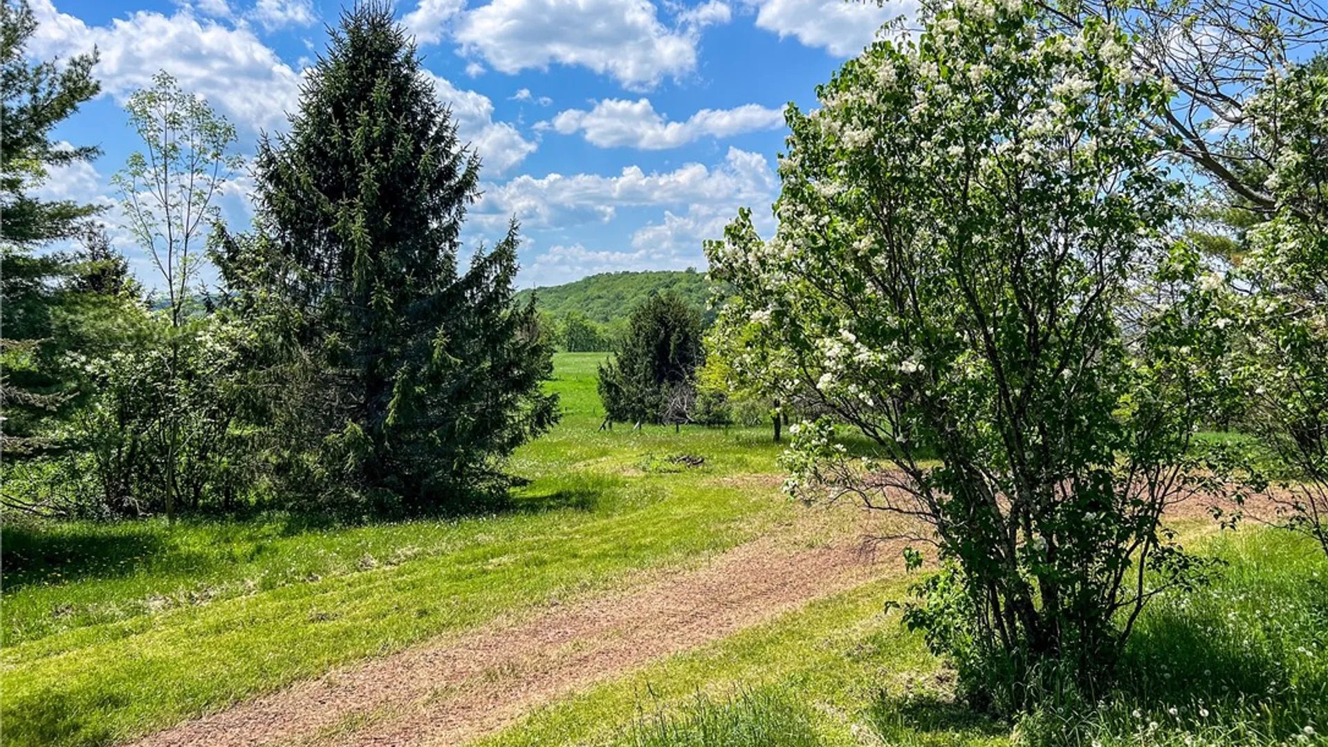 Property at 3979 County Highway 5, Bovina, NY 13740 20